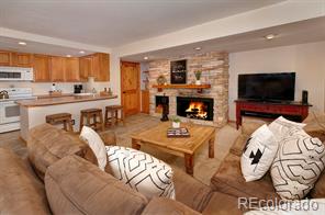 MLS Image #0 for 393  wild irishman road 16103,keystone, Colorado