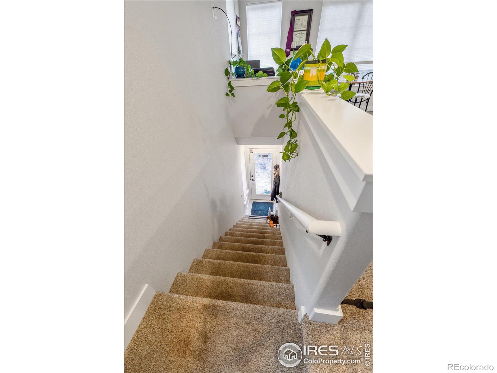 MLS Image #16 for 309  green leaf street,fort collins, Colorado