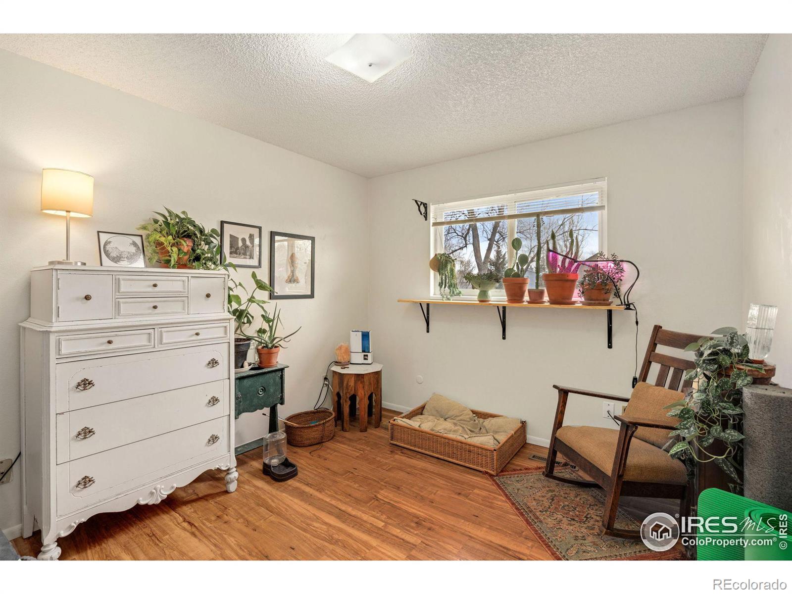 MLS Image #11 for 2917  double tree drive,fort collins, Colorado