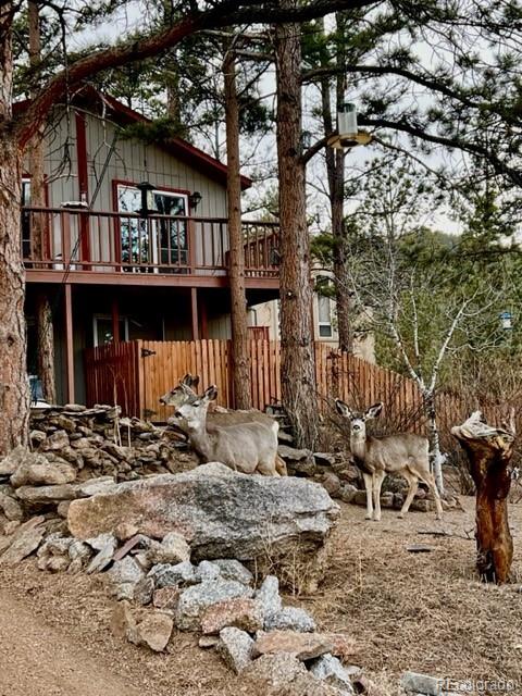 MLS Image #5 for 813  midland court,lake george, Colorado