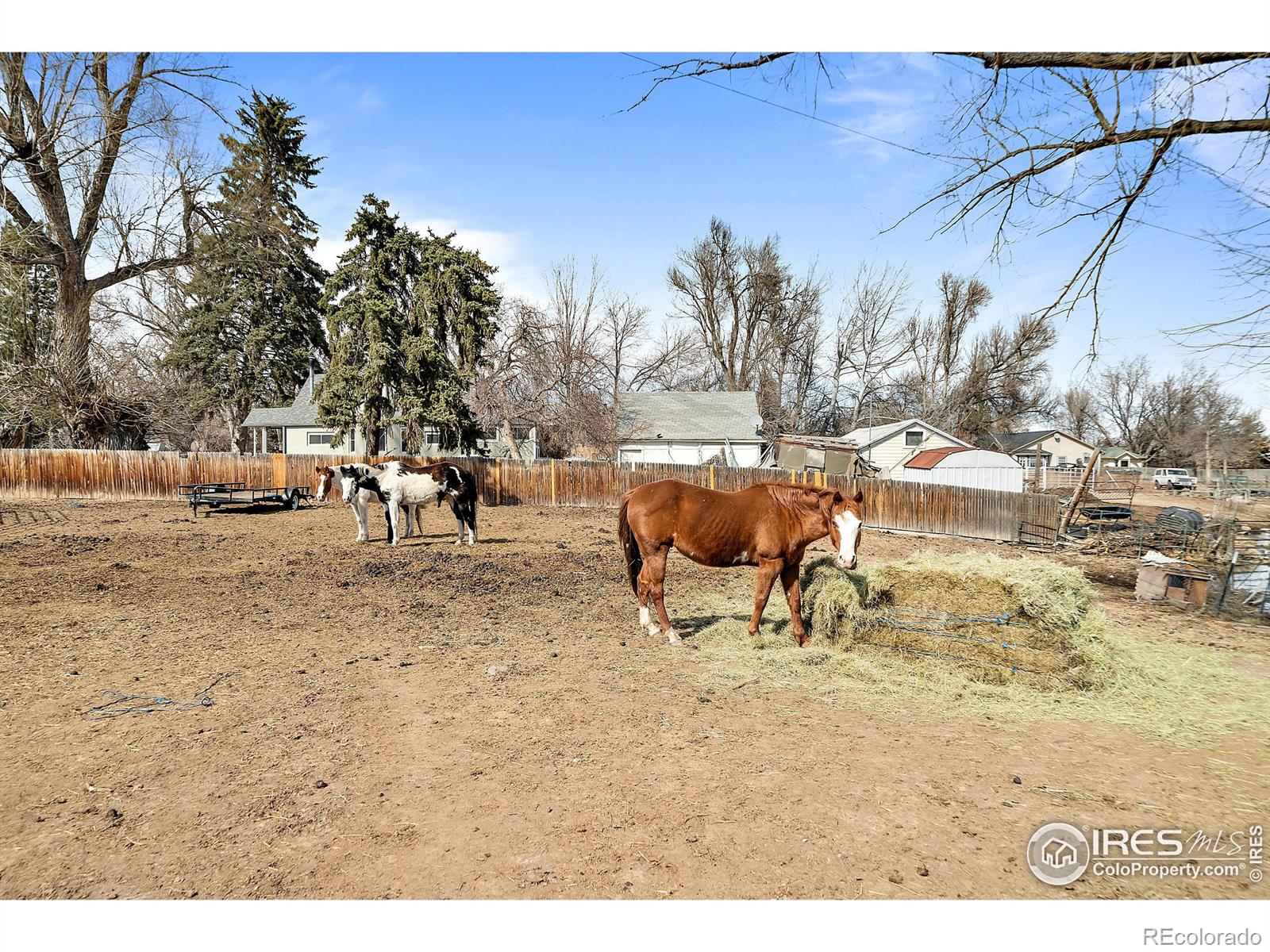 MLS Image #14 for 302 s sunset street,fort collins, Colorado