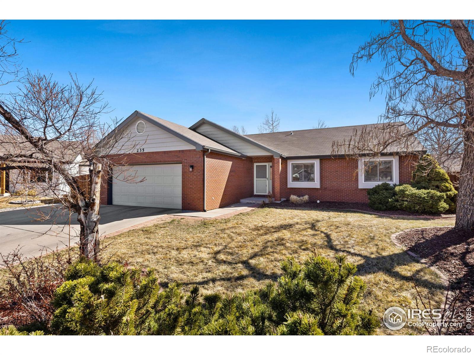 Report Image for 235  Plum Court,Windsor, Colorado