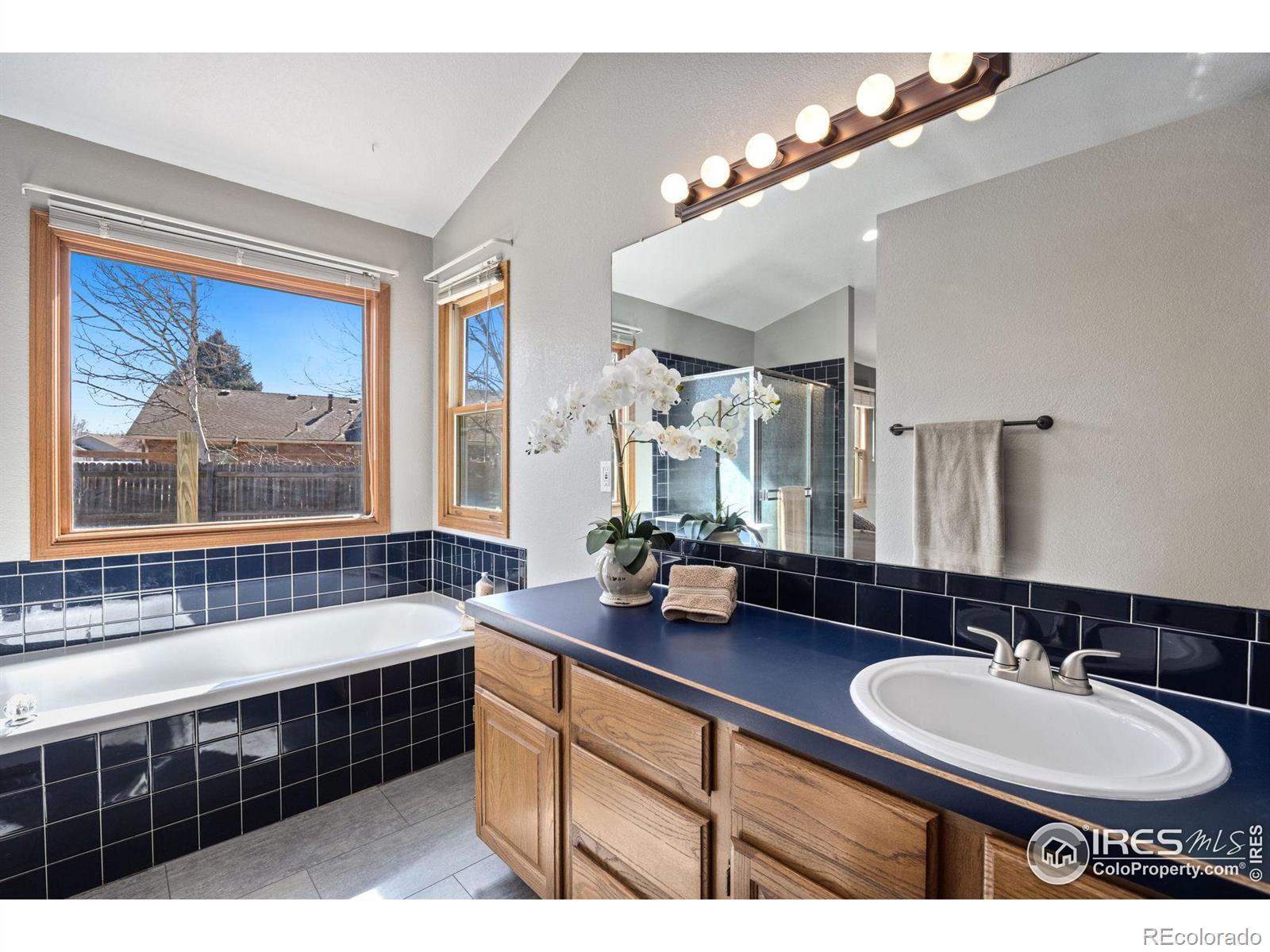 MLS Image #17 for 235  plum court,windsor, Colorado