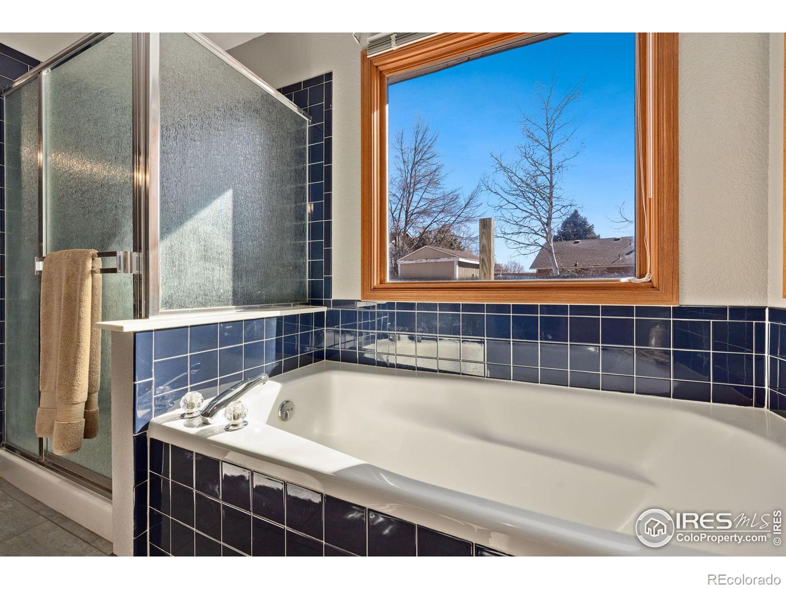 MLS Image #18 for 235  plum court,windsor, Colorado