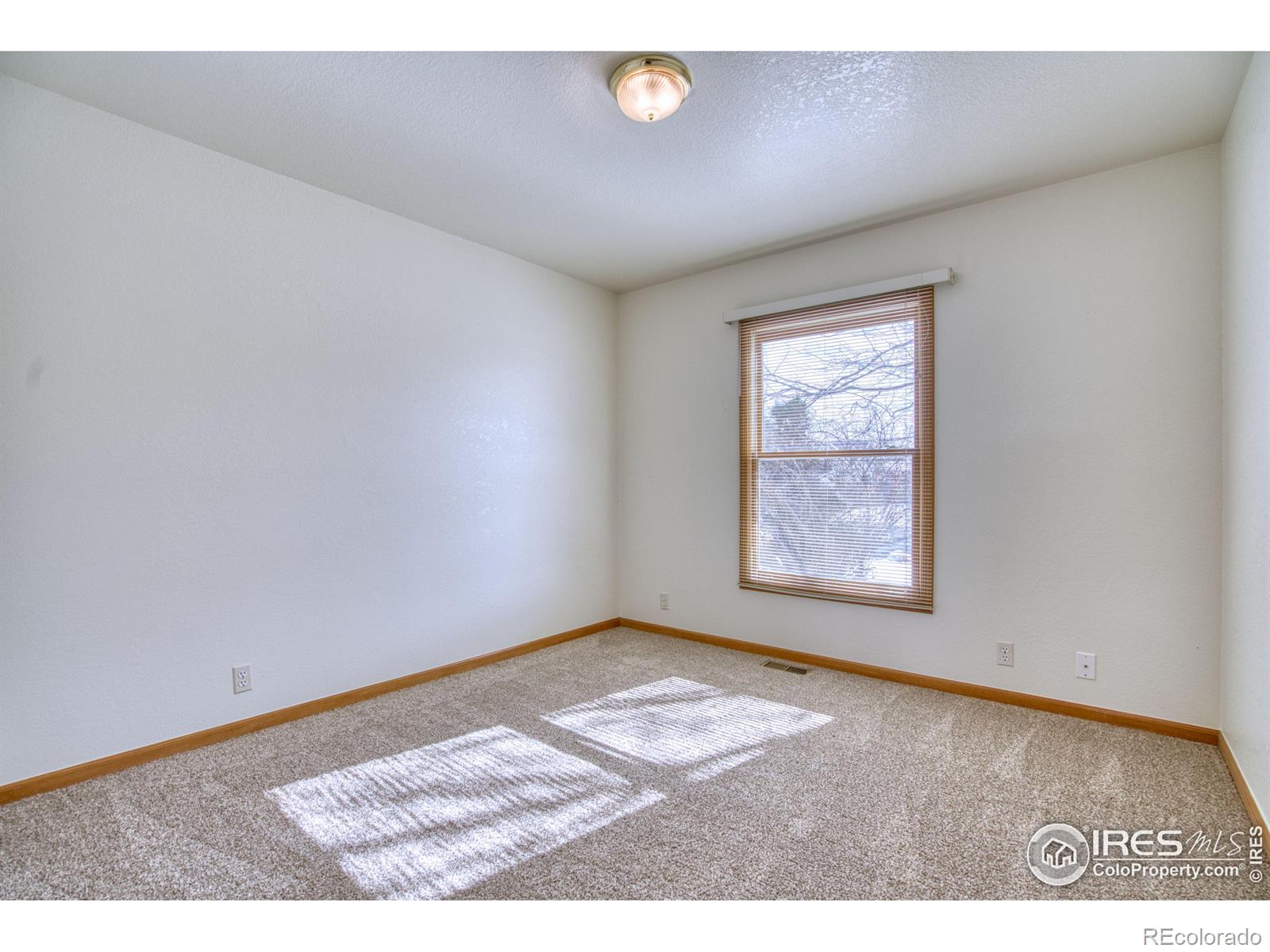 MLS Image #19 for 225 n 49th avenue,greeley, Colorado