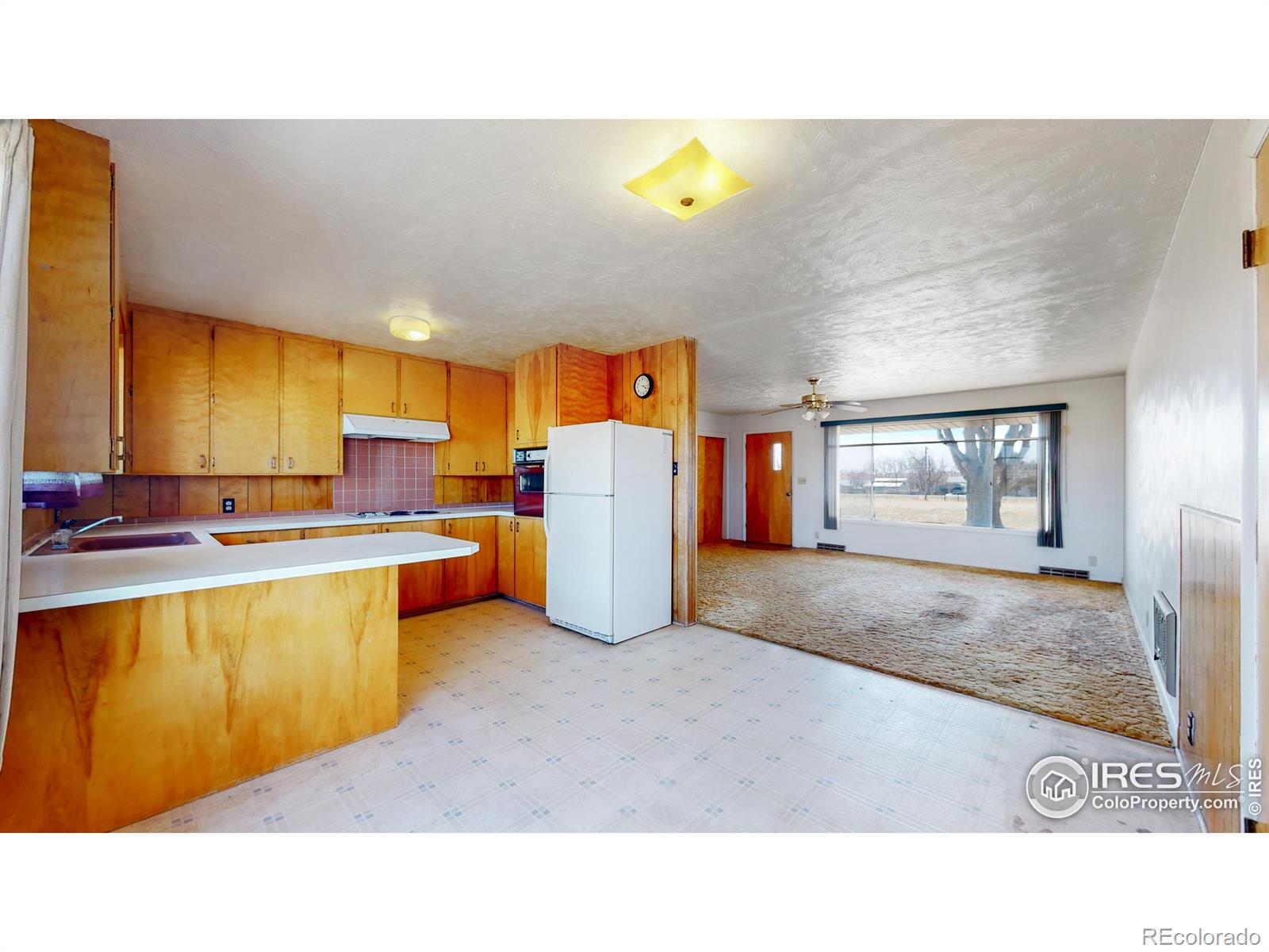 MLS Image #6 for 3720  michaud lane,fort collins, Colorado