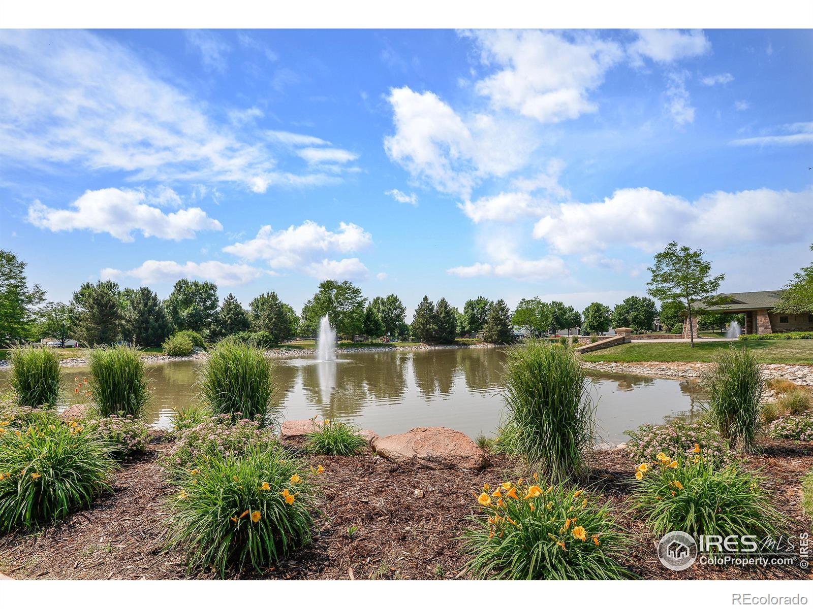 MLS Image #33 for 3327  wild view drive,fort collins, Colorado