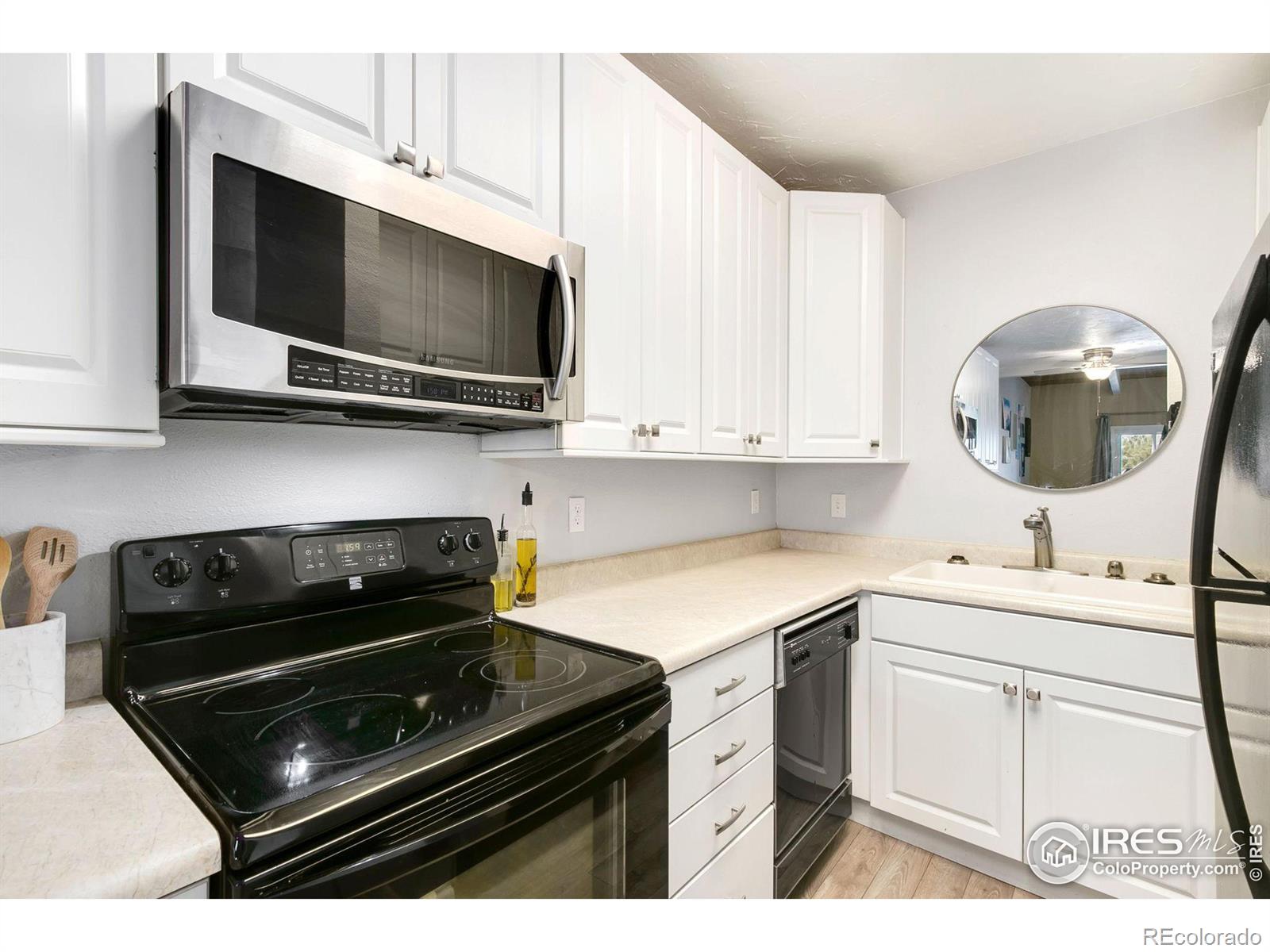 MLS Image #6 for 1737  springmeadows court,fort collins, Colorado