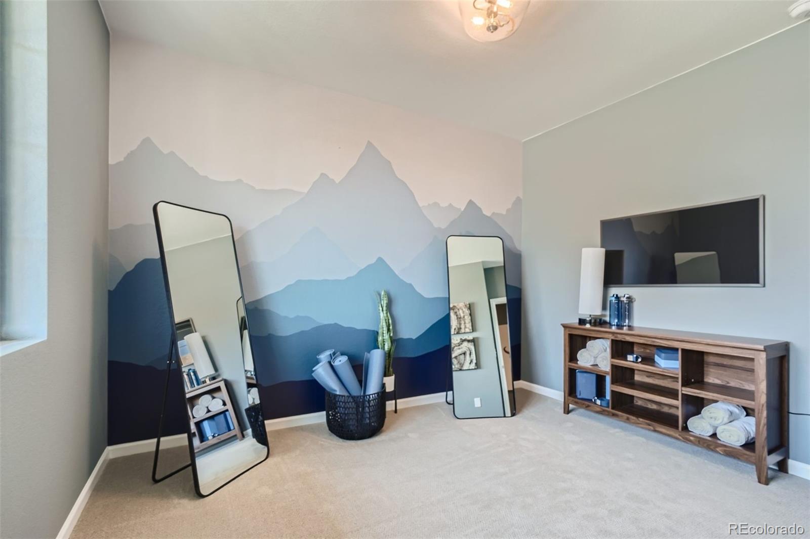 MLS Image #12 for 364 n geneva street,aurora, Colorado