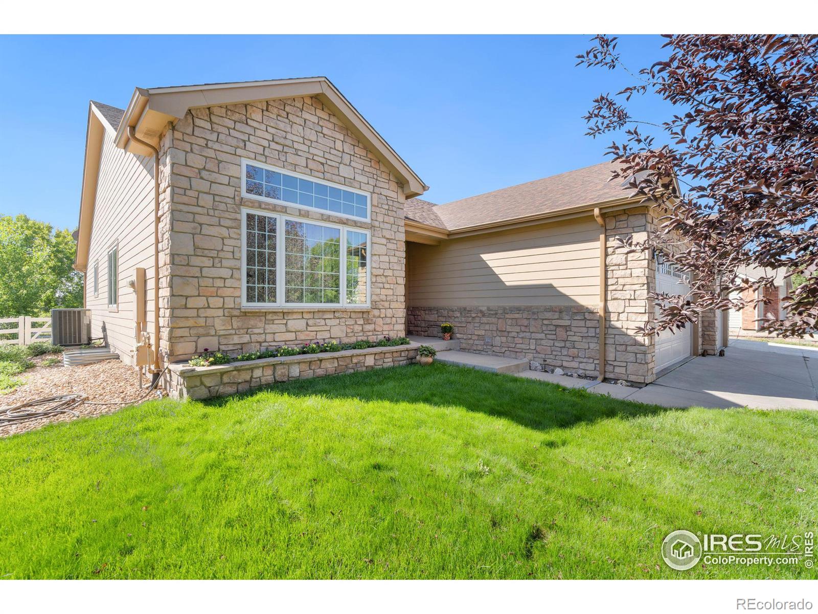 CMA Image for 1225  baldridge drive,Severance, Colorado