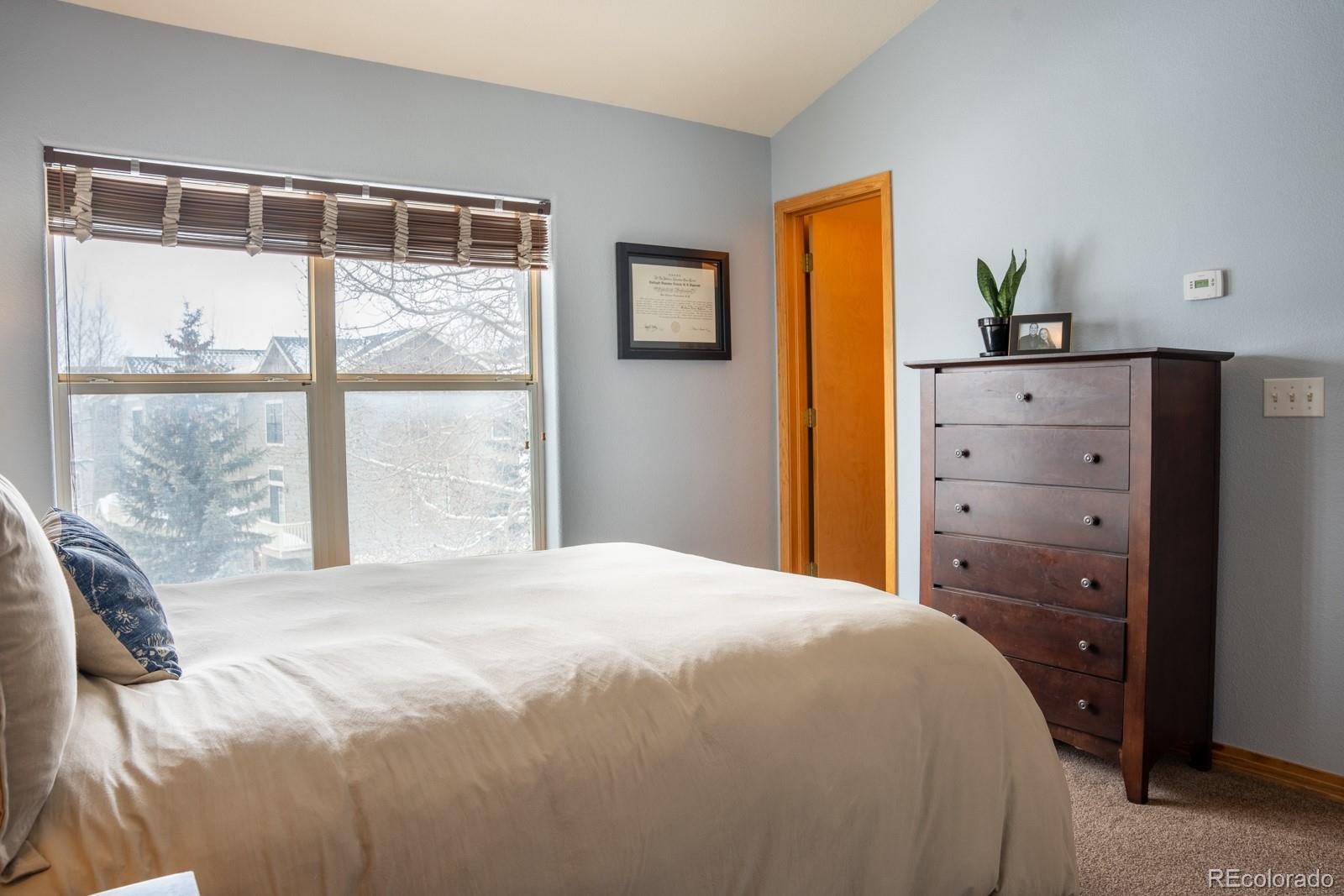 MLS Image #16 for 103  creek ,silverthorne, Colorado