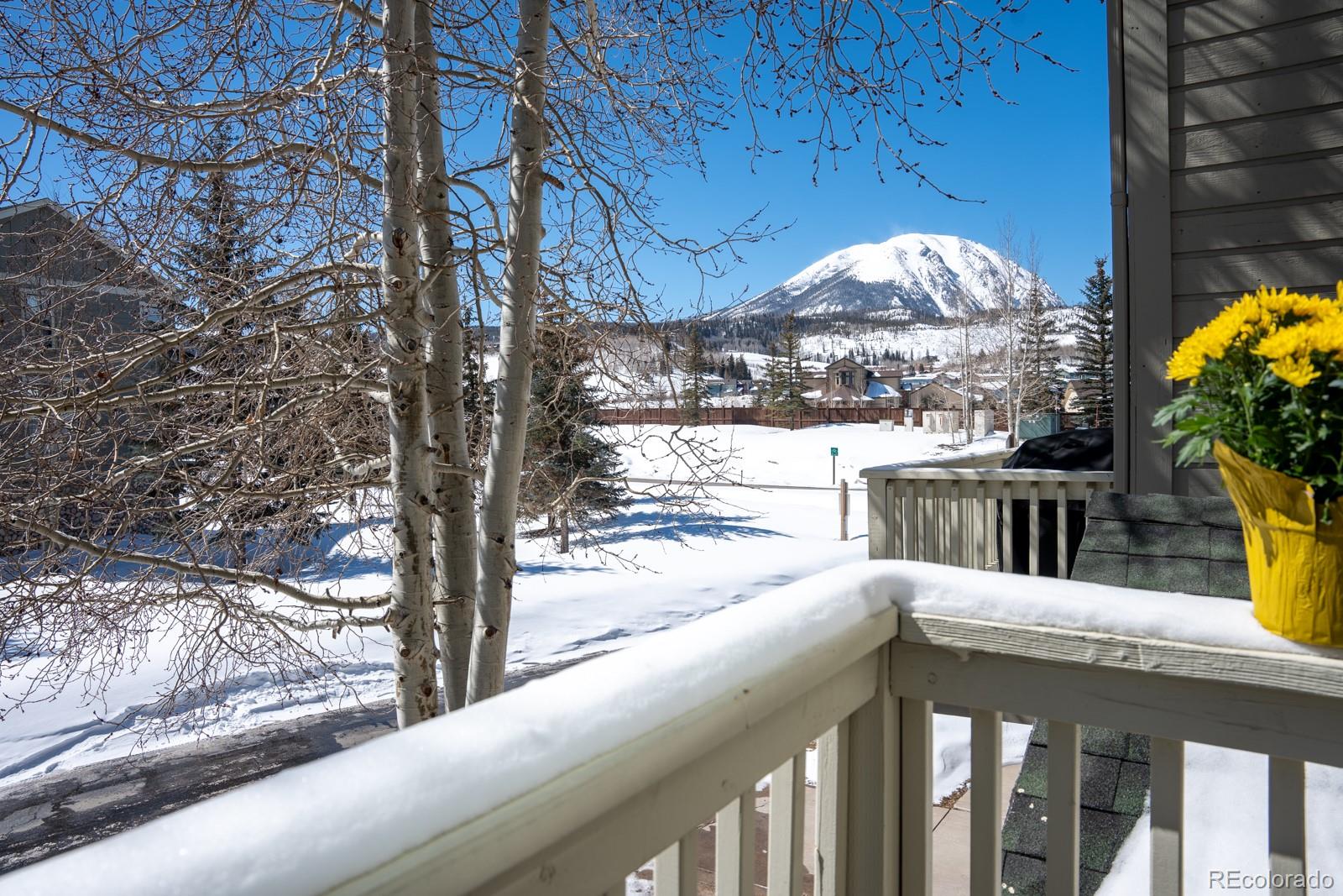MLS Image #20 for 103  creek ,silverthorne, Colorado