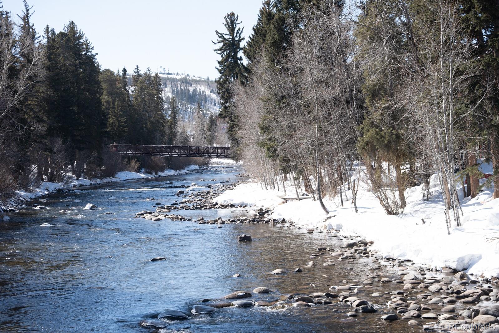 MLS Image #29 for 103  creek ,silverthorne, Colorado