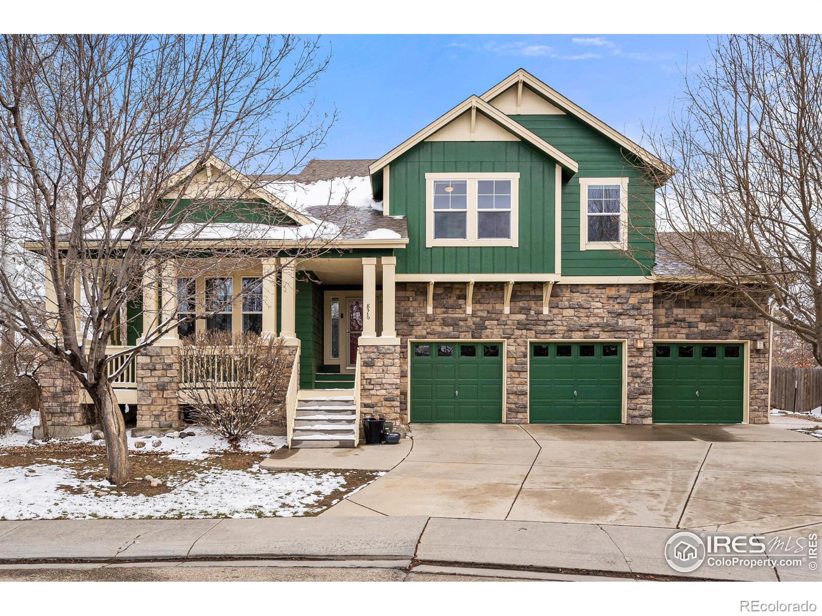 Report Image for 826  Bluefield Court,Longmont, Colorado