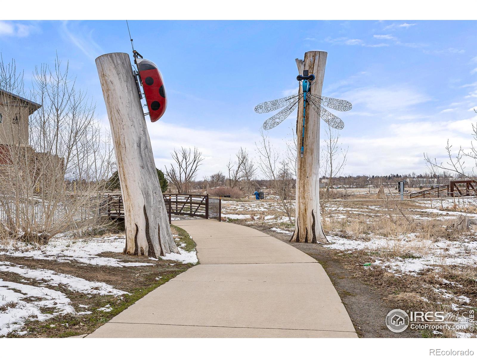 MLS Image #39 for 826  bluefield court,longmont, Colorado