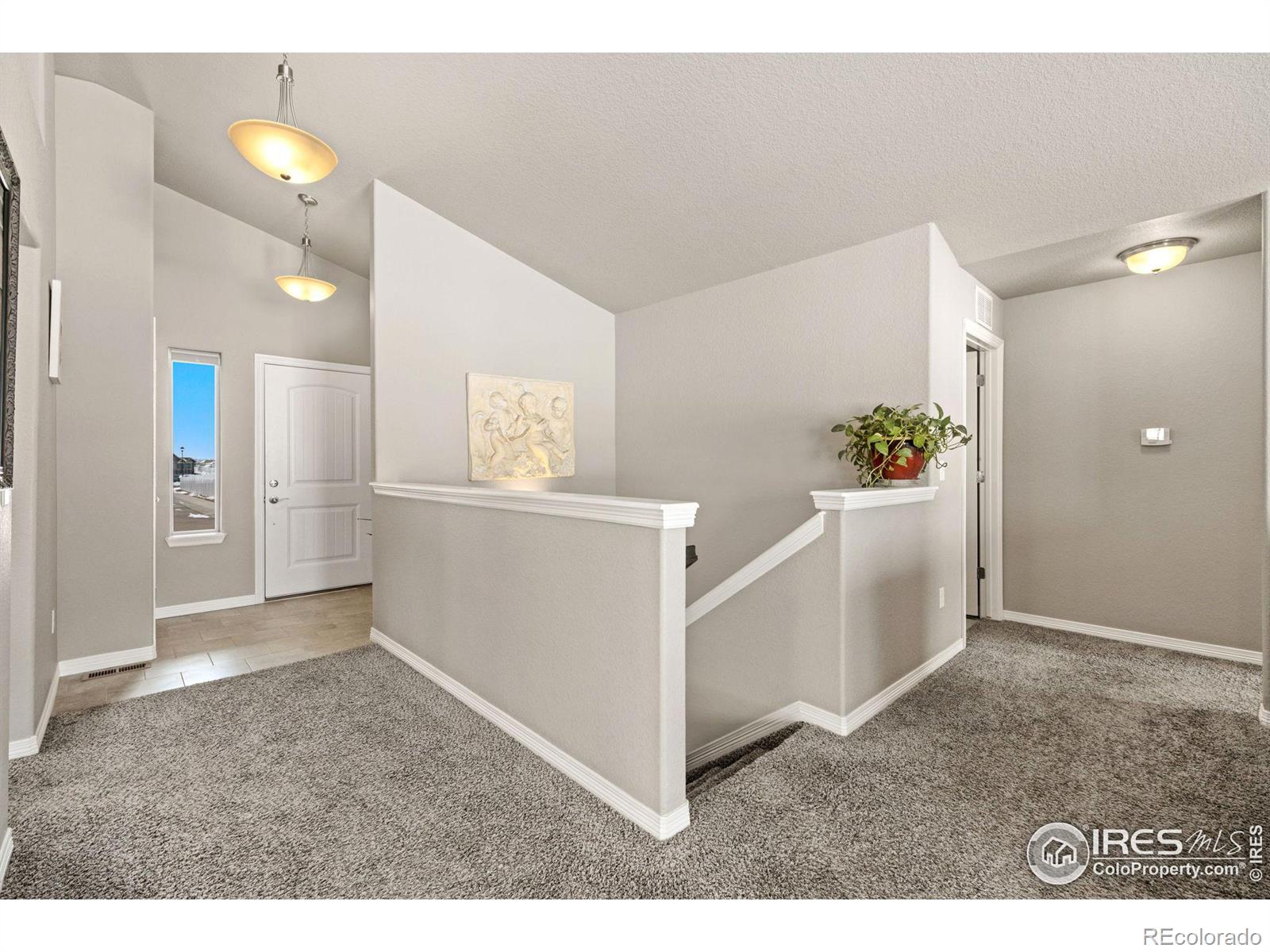 MLS Image #2 for 1810  ruddlesway drive,windsor, Colorado