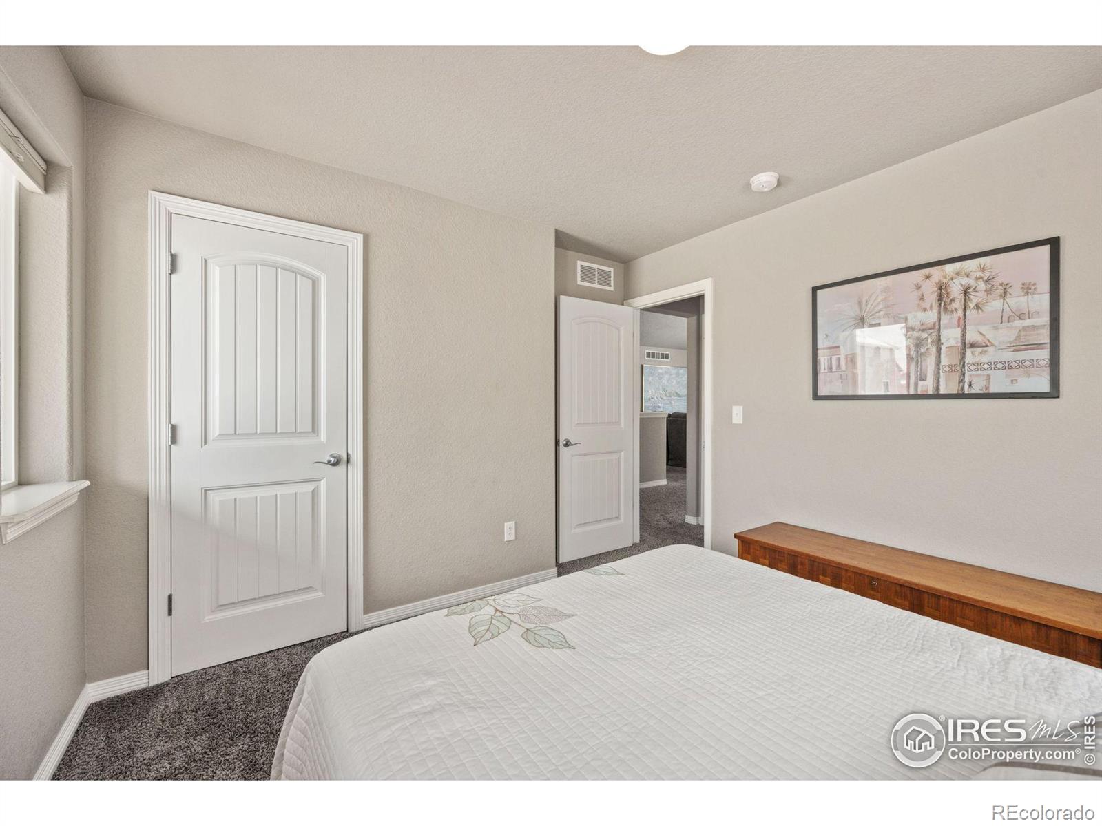 MLS Image #21 for 1810  ruddlesway drive,windsor, Colorado