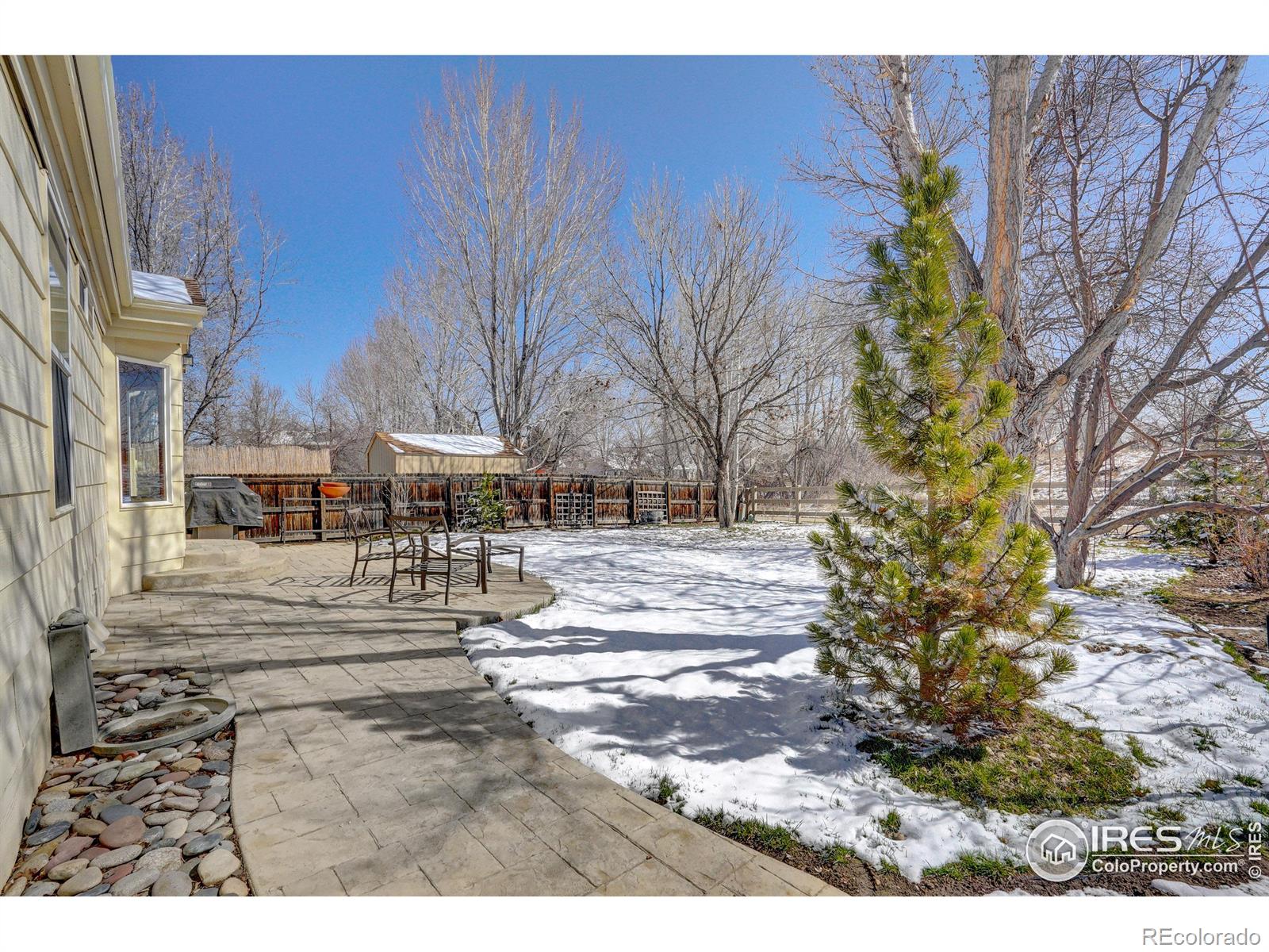 MLS Image #16 for 319  tynan drive,erie, Colorado