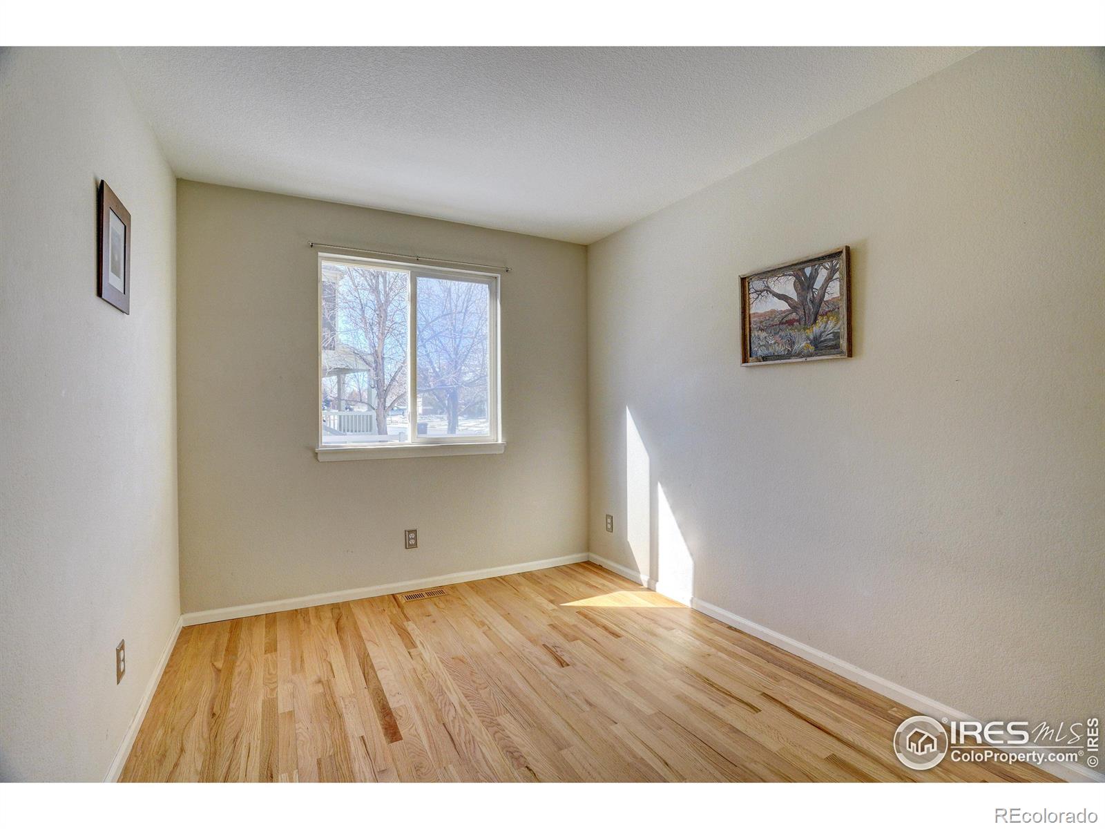 MLS Image #8 for 319  tynan drive,erie, Colorado