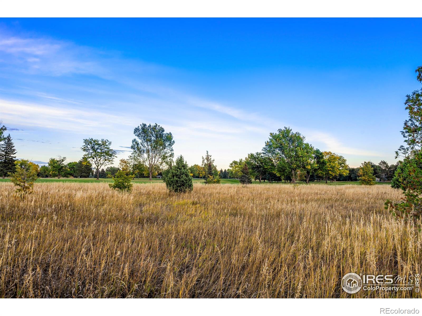 MLS Image #29 for 4014 s lemay avenue,fort collins, Colorado