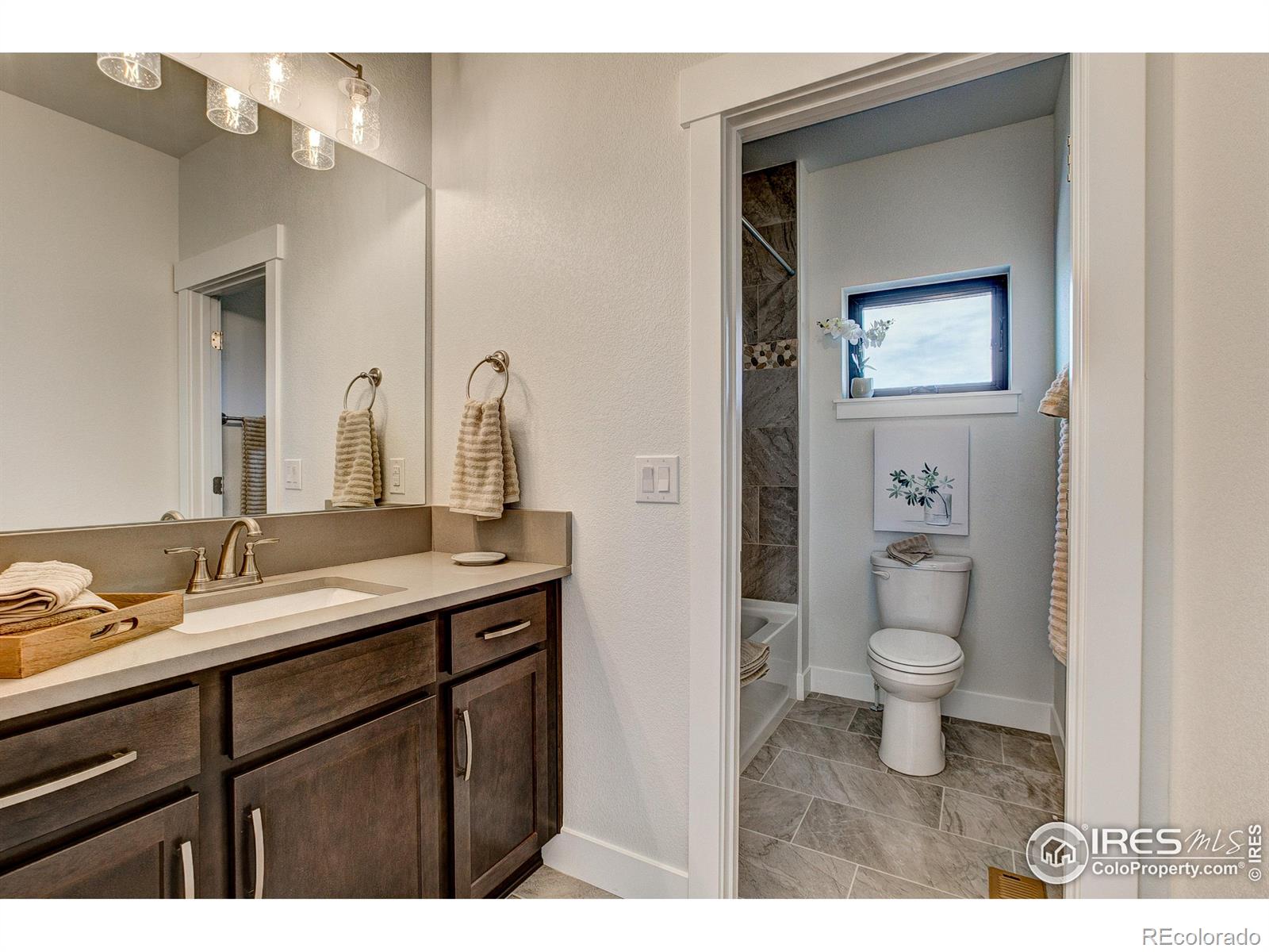 MLS Image #24 for 8414  cromwell circle,windsor, Colorado