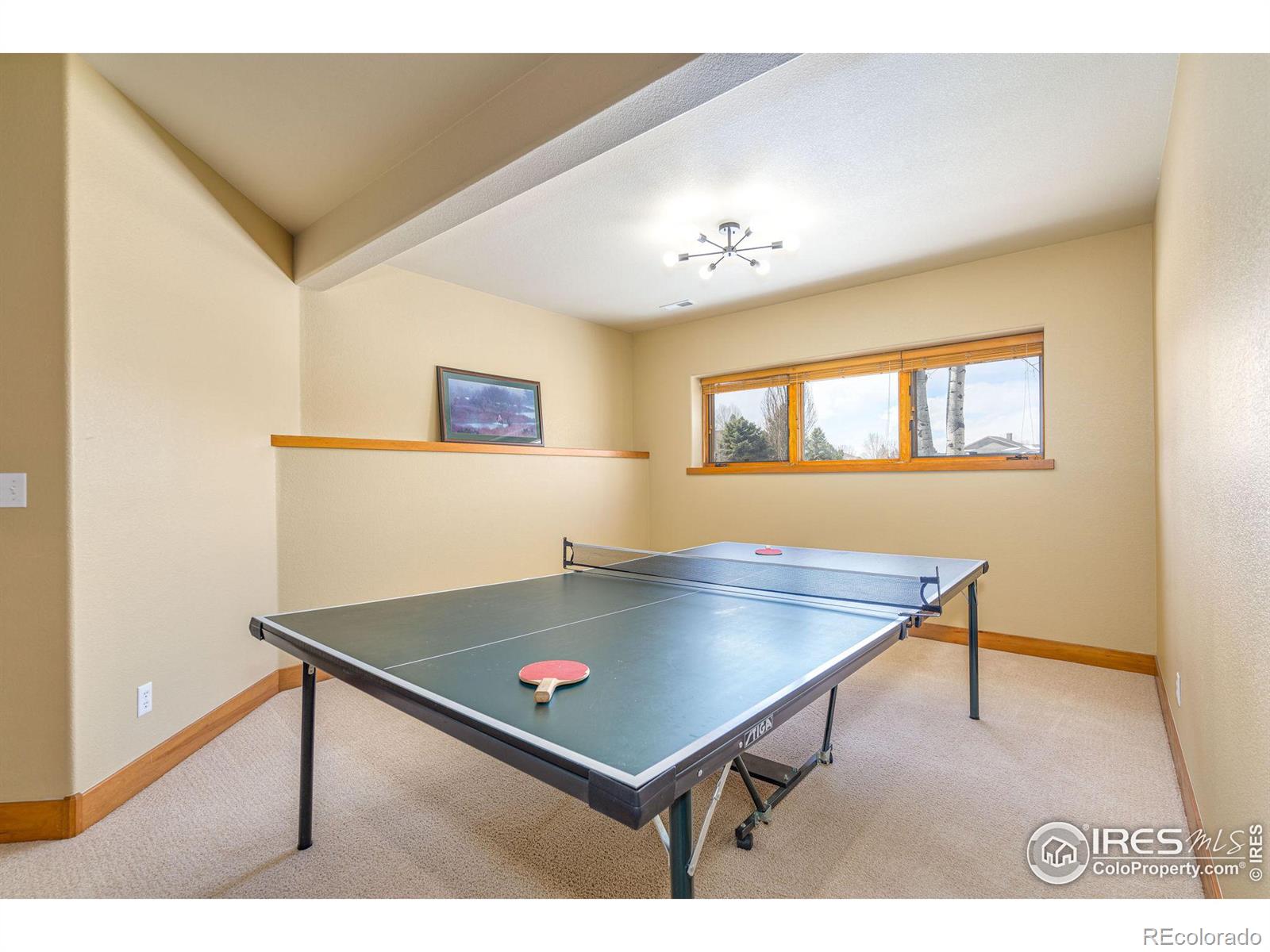 MLS Image #28 for 5677  ridgeway drive,fort collins, Colorado