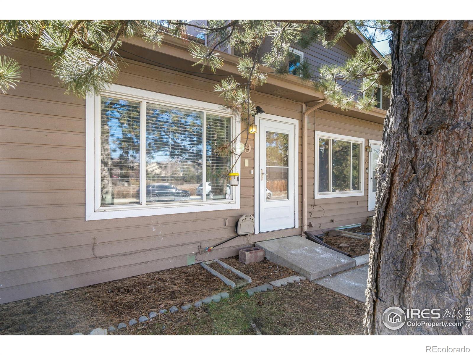 Report Image for 841  Crisman Drive,Longmont, Colorado