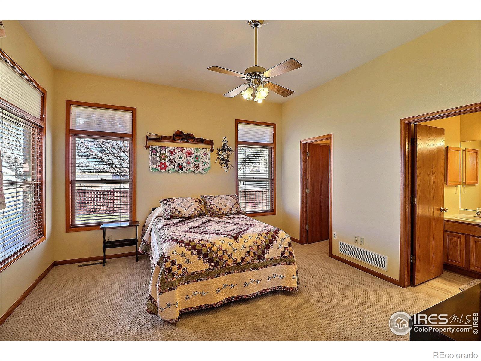 MLS Image #18 for 50  cherry avenue,eaton, Colorado