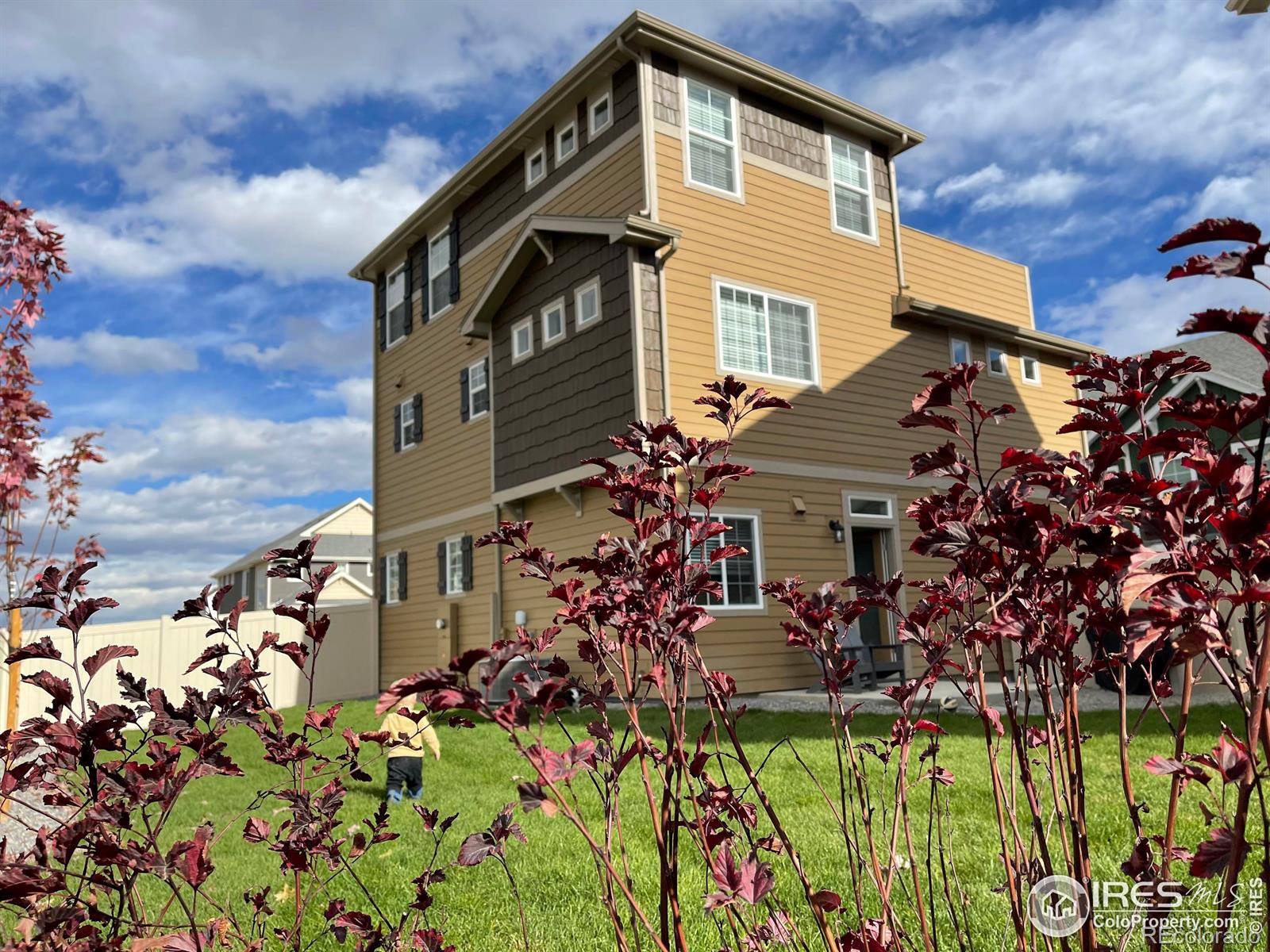 MLS Image #24 for 1138  highlands drive,erie, Colorado