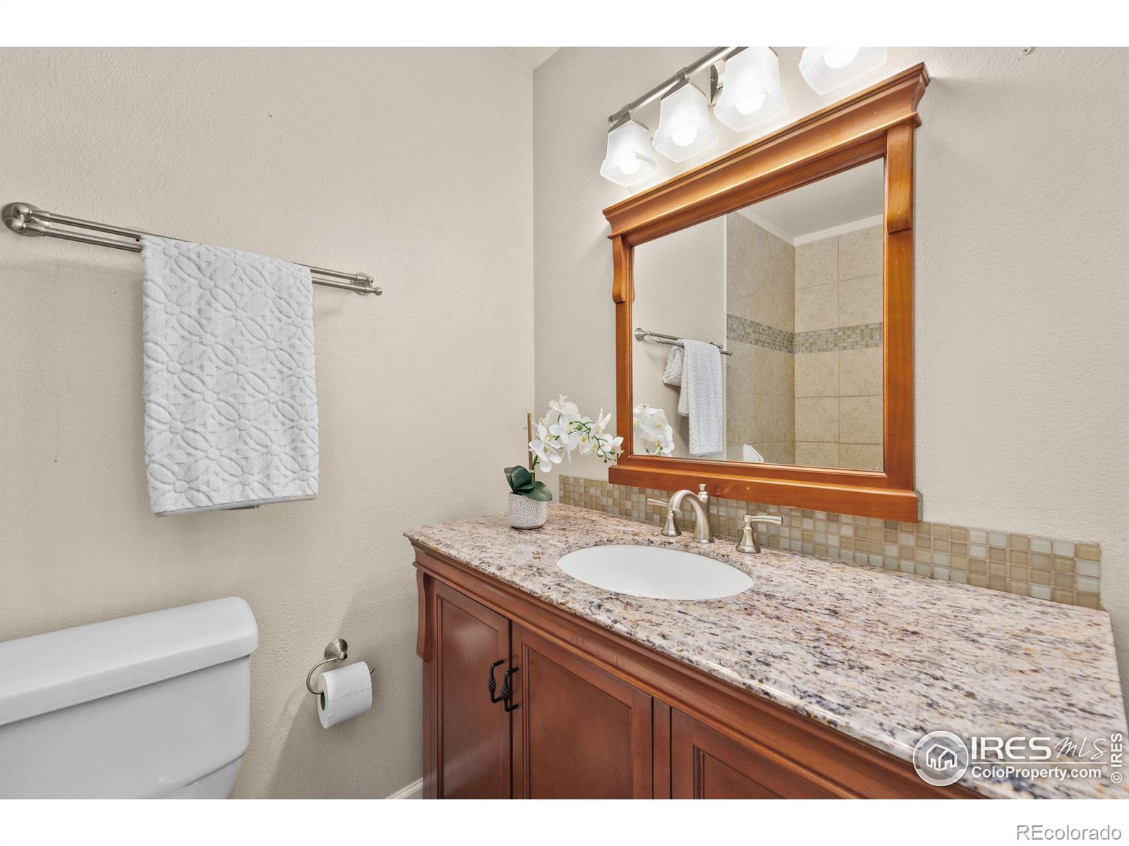 MLS Image #14 for 2034  chancery drive,loveland, Colorado