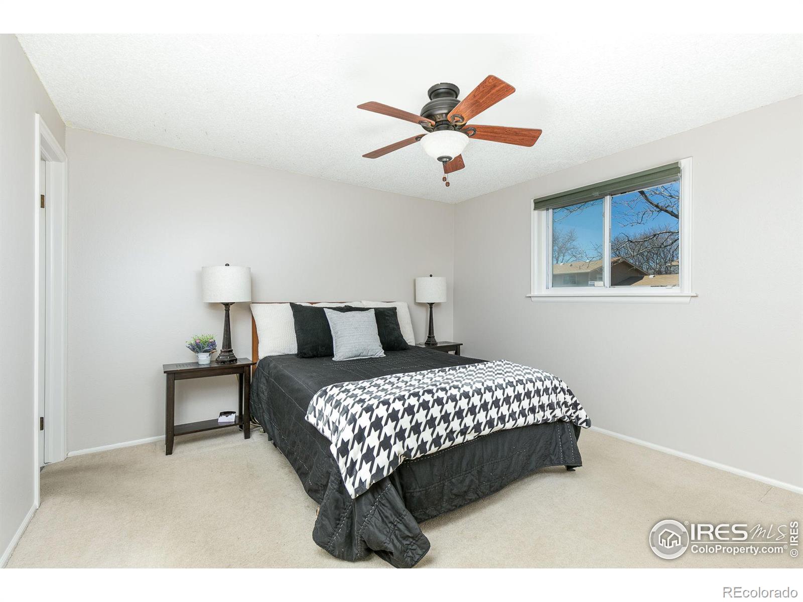 MLS Image #8 for 14  clark way,longmont, Colorado