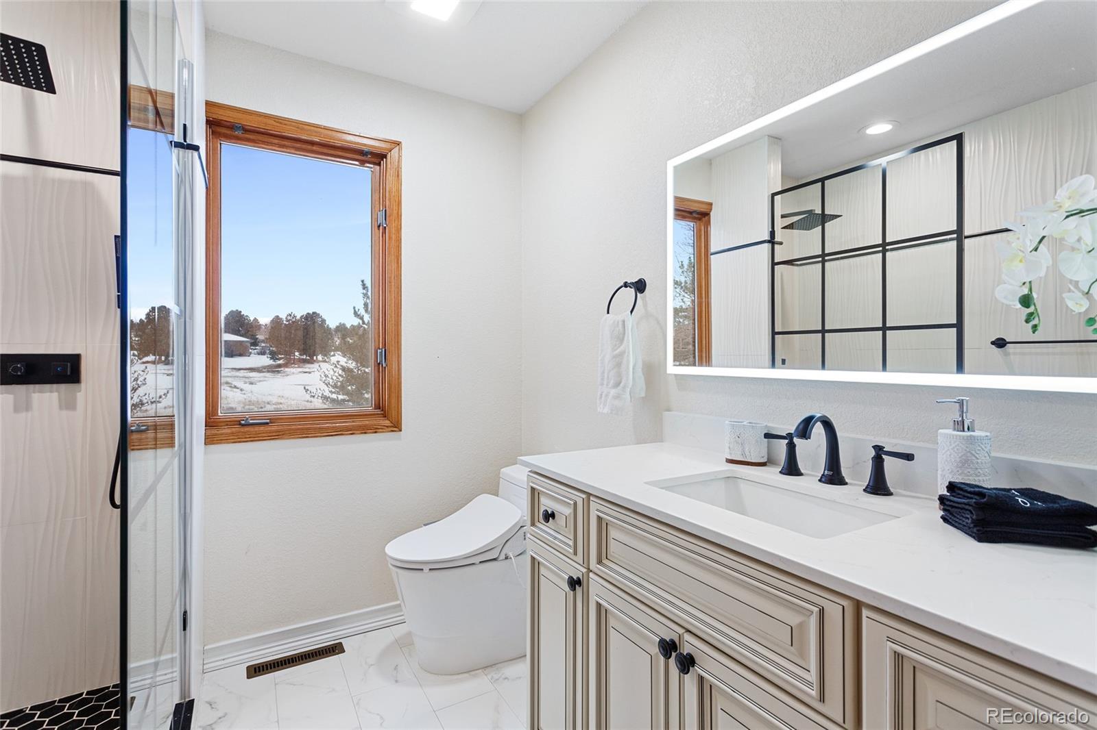 MLS Image #31 for 19285 e briarwood drive,centennial, Colorado