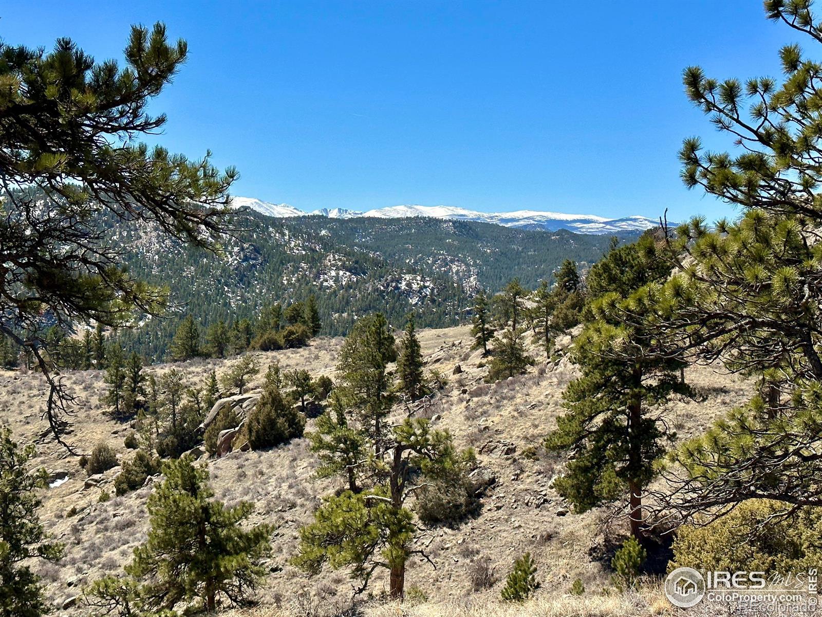 MLS Image #34 for 390  gunslinger road,livermore, Colorado