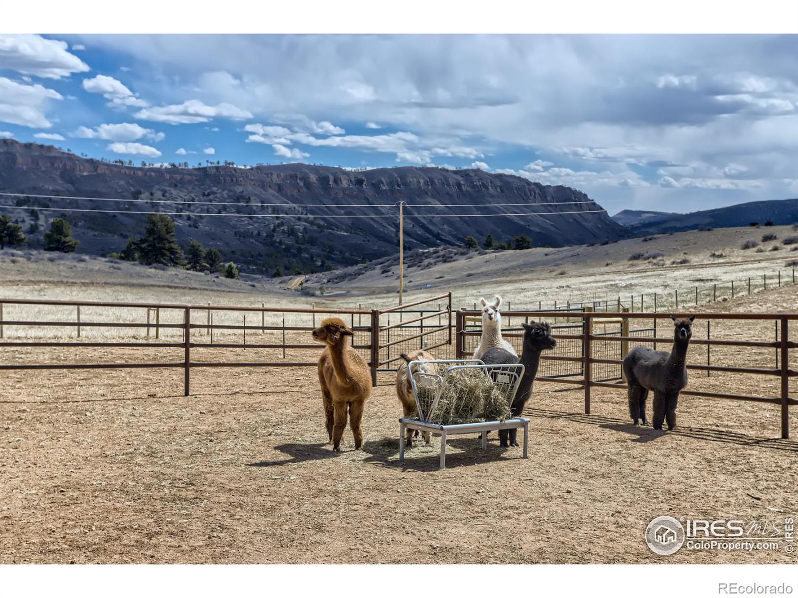 MLS Image #26 for 2300  dry creek drive,lyons, Colorado