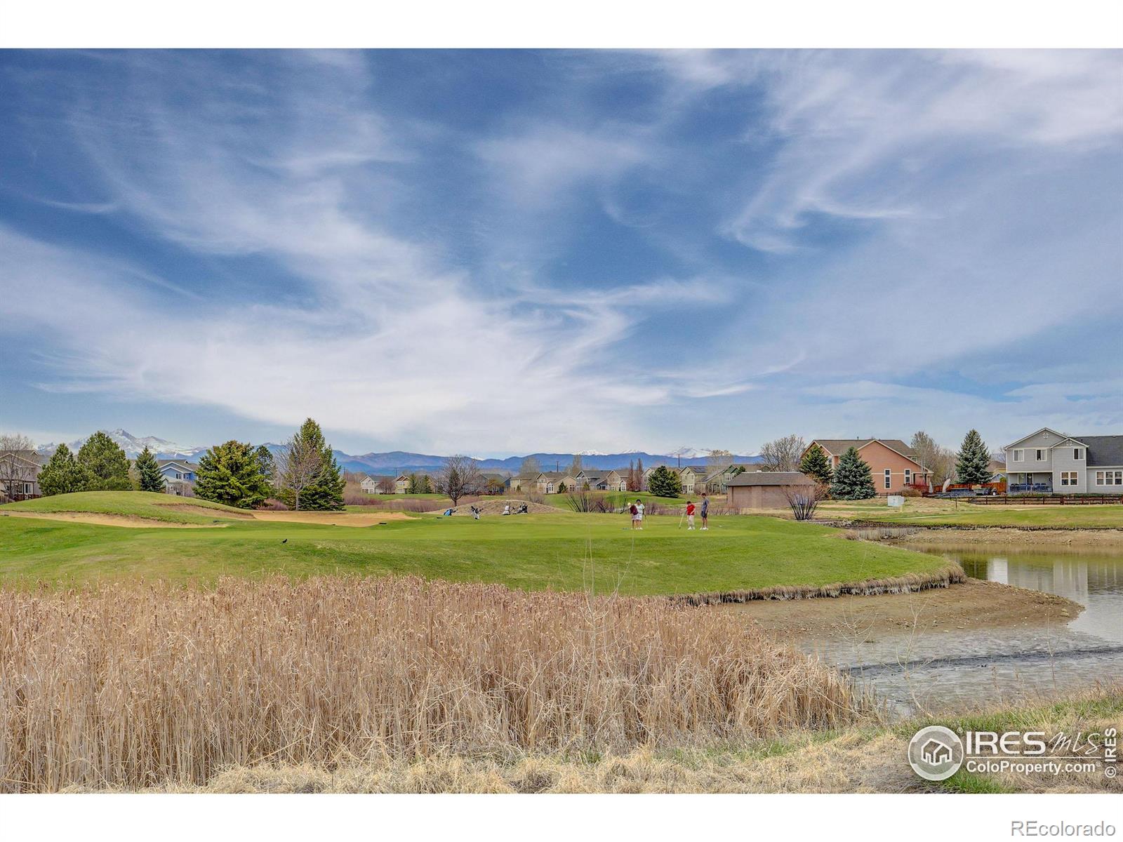 MLS Image #37 for 1809  signature circle,longmont, Colorado