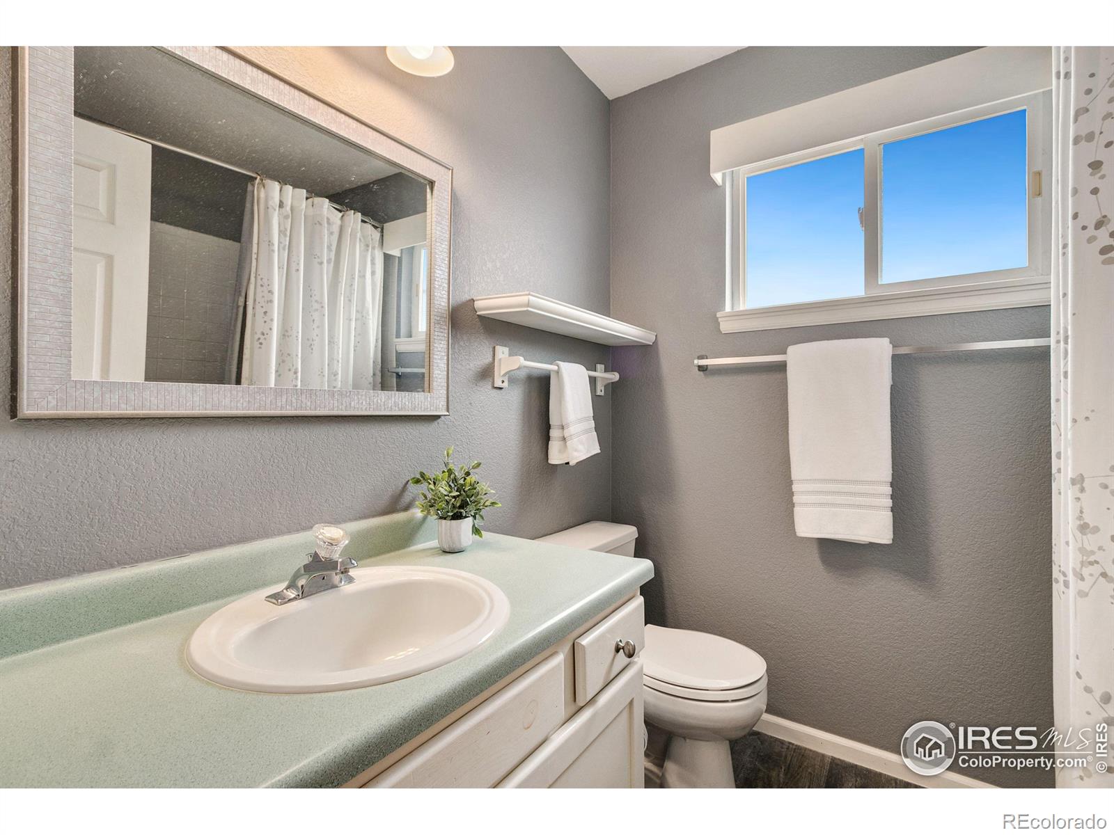 MLS Image #21 for 2218  water blossom lane,fort collins, Colorado