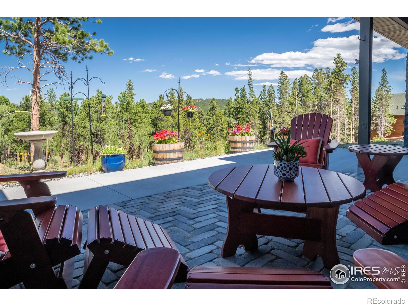 MLS Image #3 for 315  indian peaks drive,nederland, Colorado