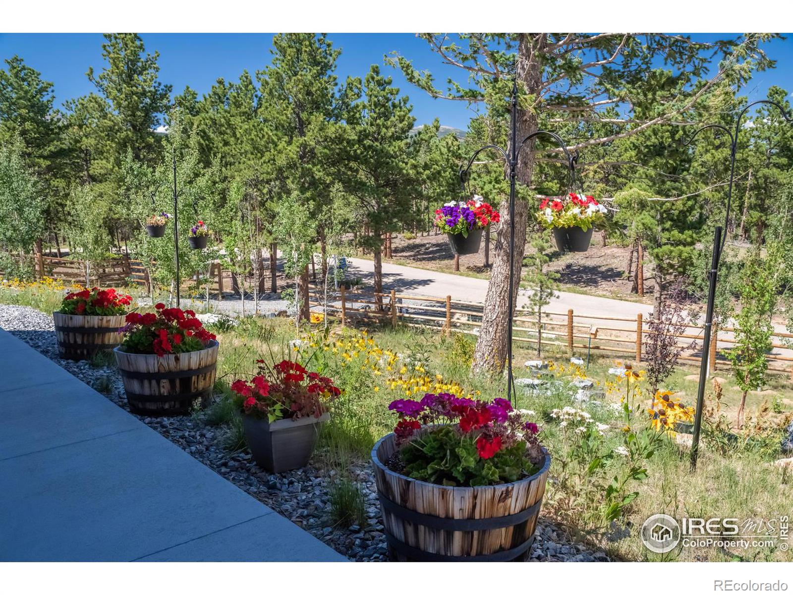 MLS Image #4 for 315  indian peaks drive,nederland, Colorado