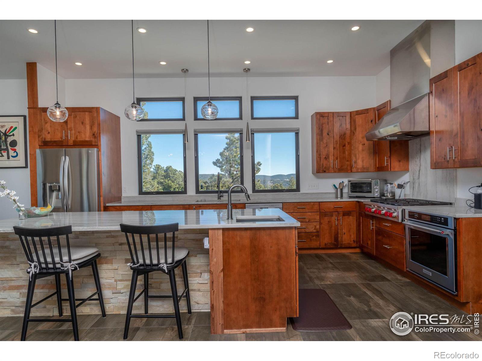 MLS Image #6 for 315  indian peaks drive,nederland, Colorado