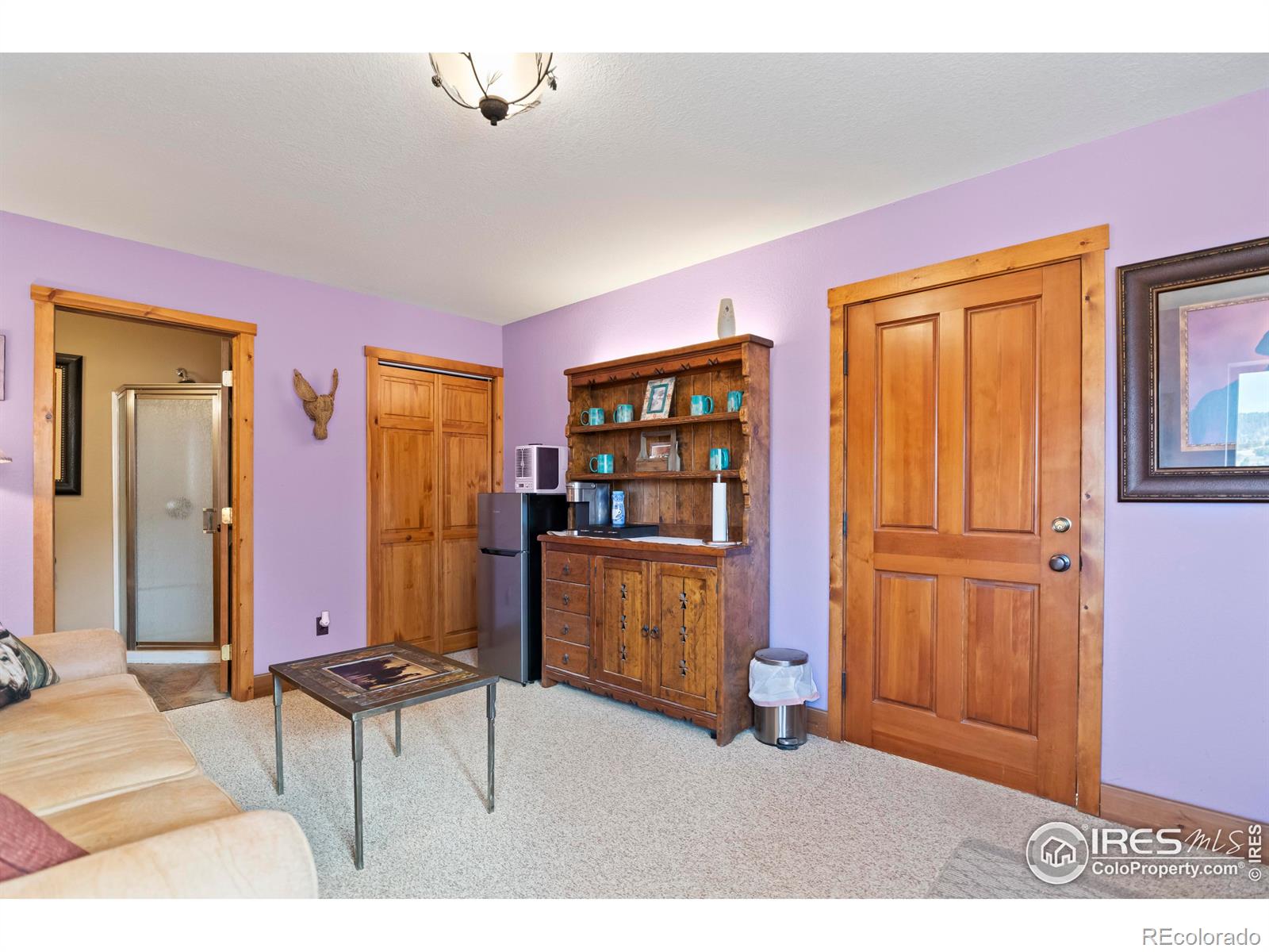 MLS Image #27 for 4528  sheep patch road,golden, Colorado