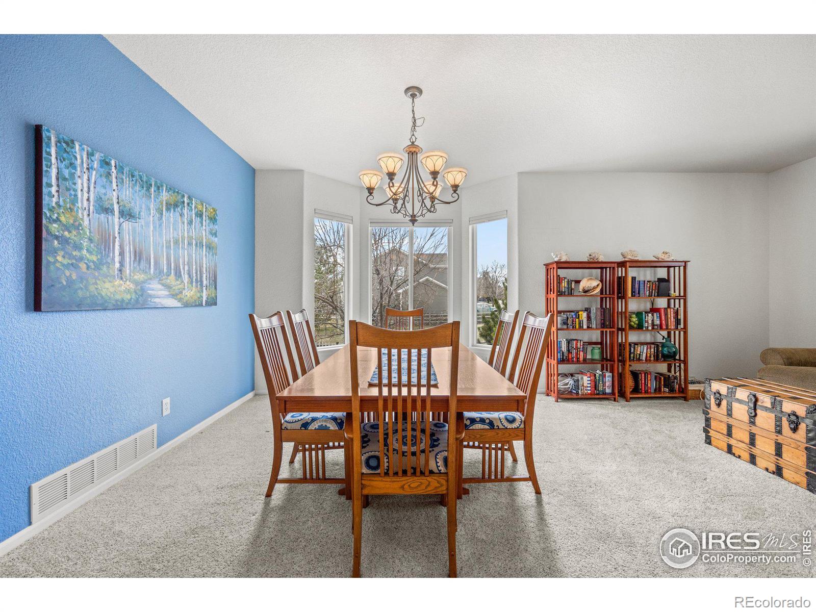 MLS Image #13 for 11732  victor drive,longmont, Colorado