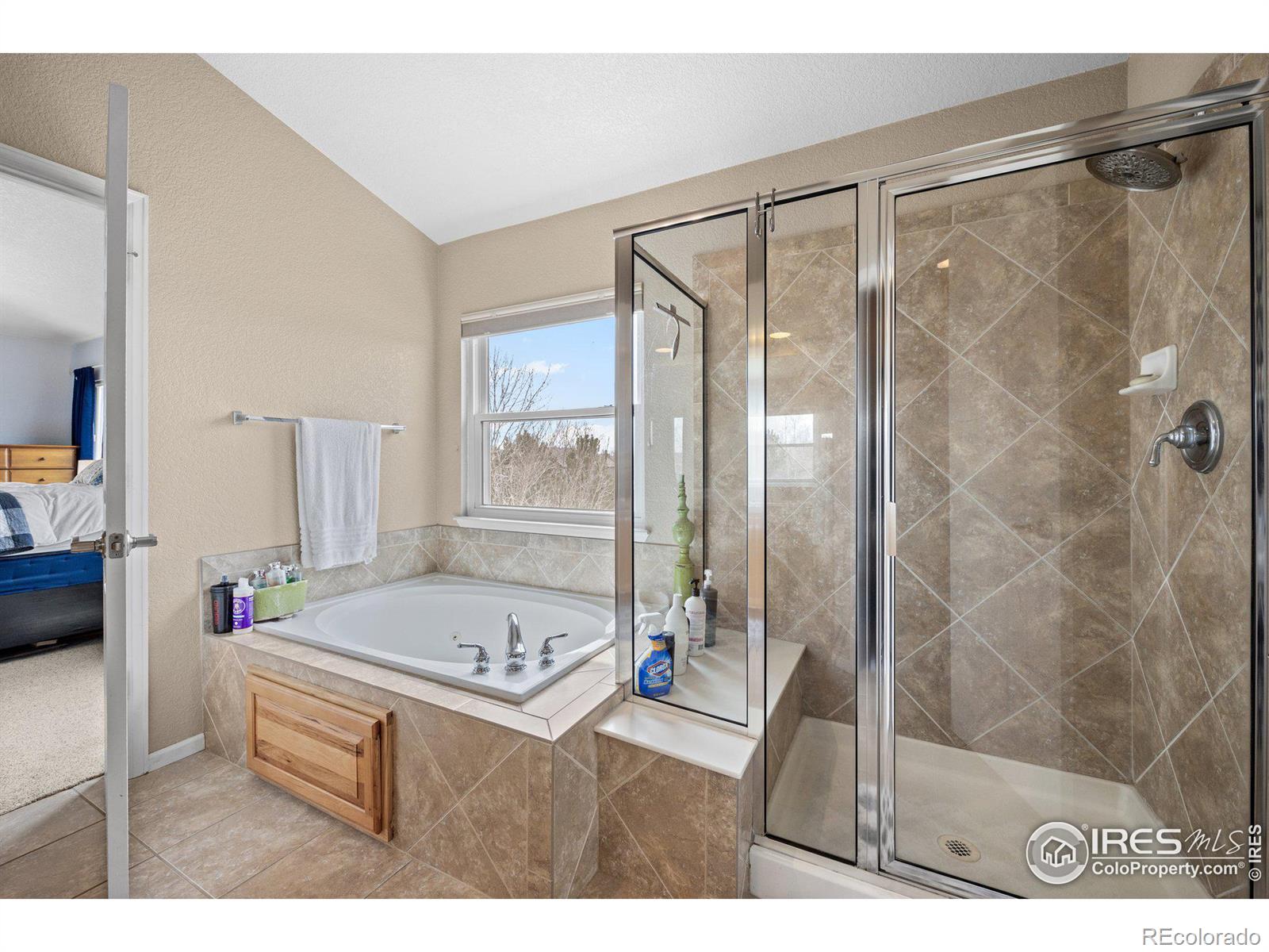 MLS Image #20 for 11732  victor drive,longmont, Colorado