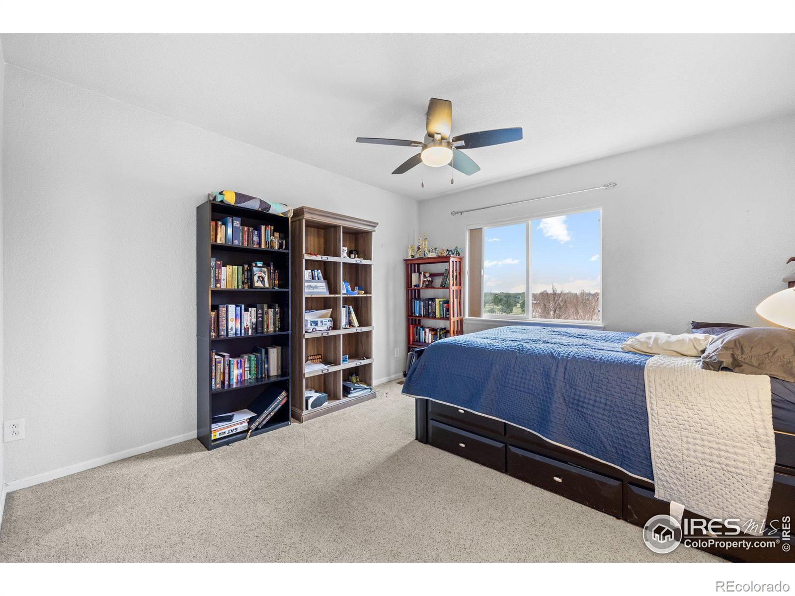 MLS Image #22 for 11732  victor drive,longmont, Colorado