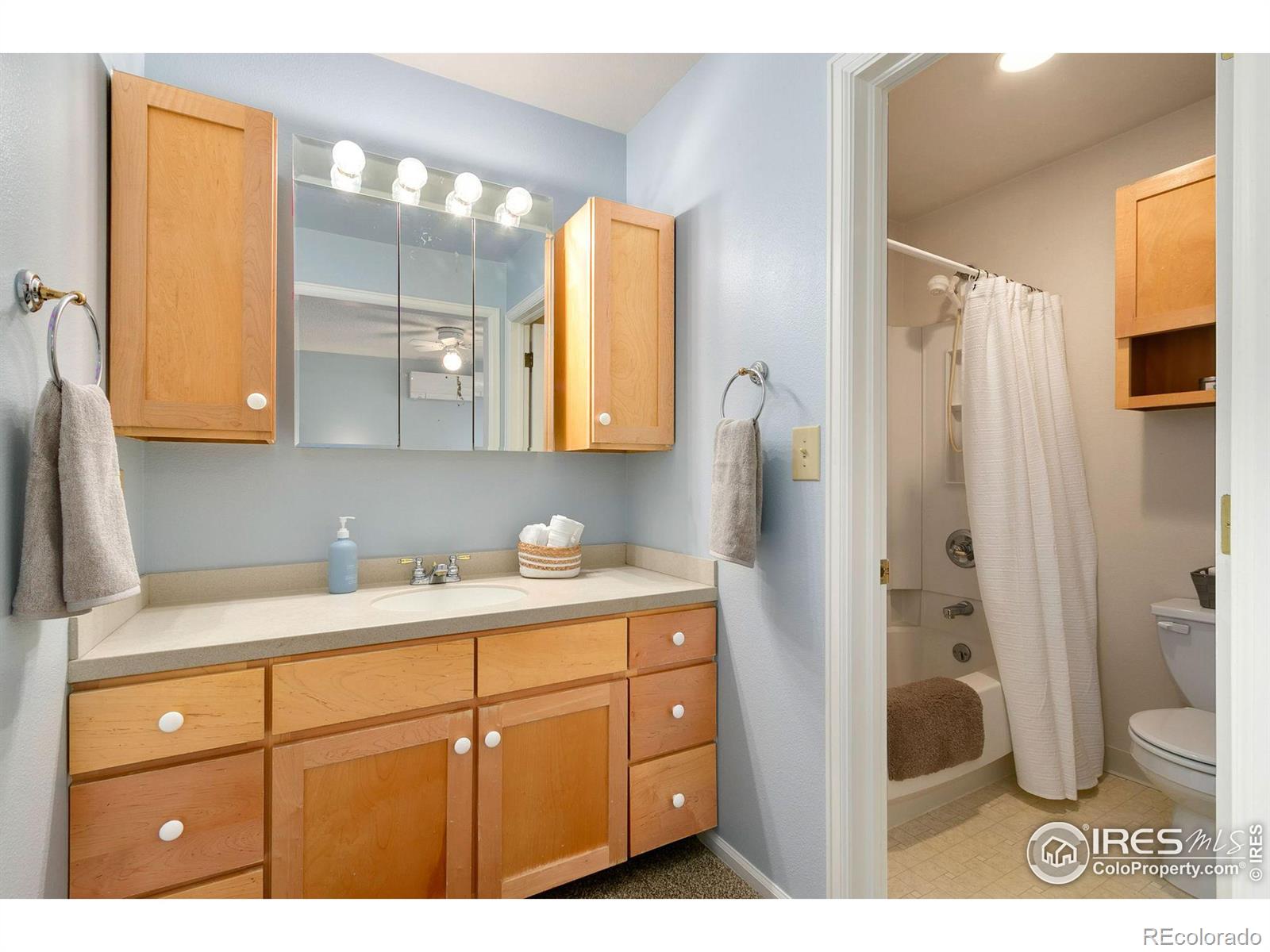 MLS Image #13 for 2945  brookwood place,fort collins, Colorado