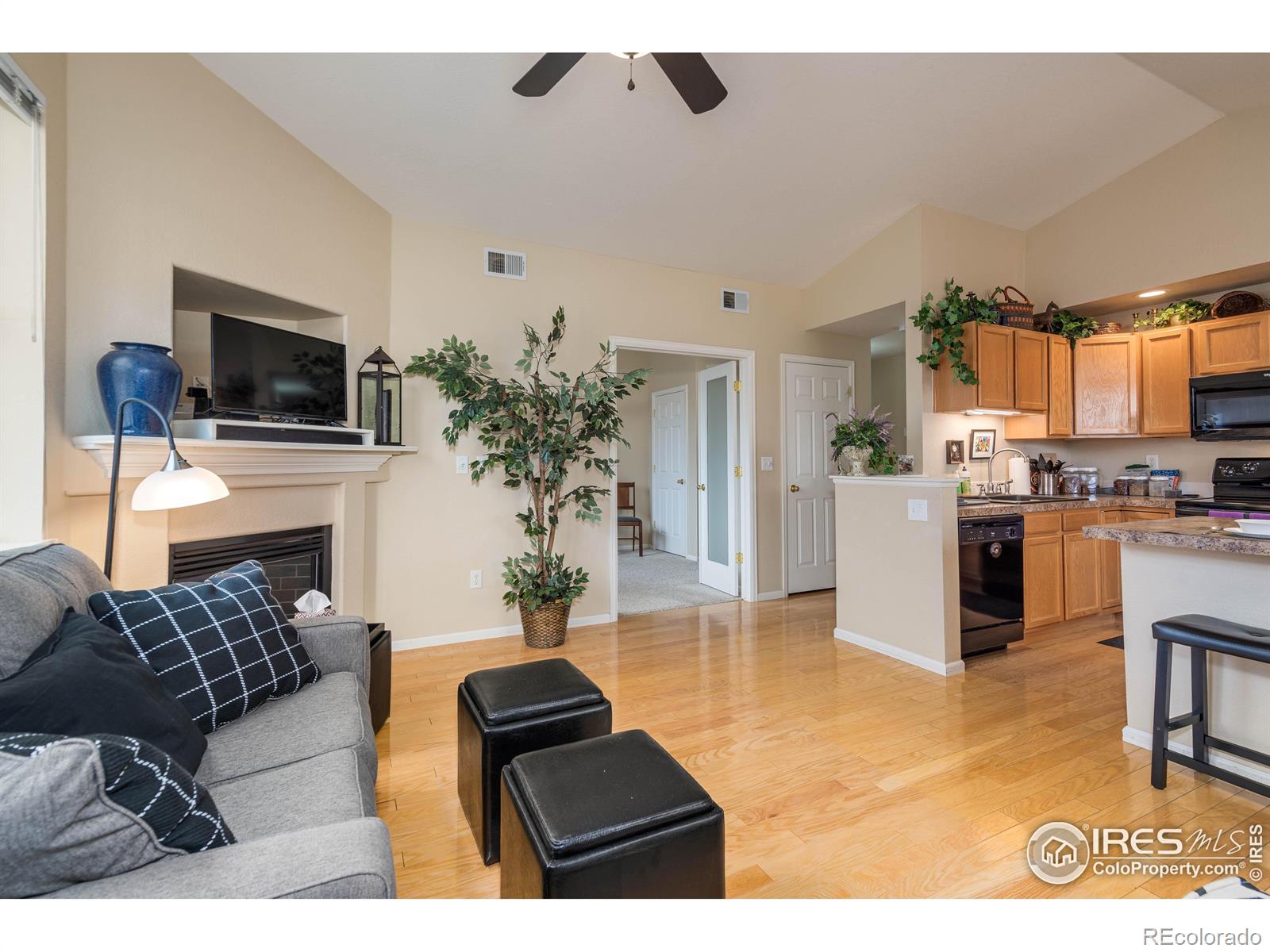 MLS Image #10 for 2019  grays peak drive,loveland, Colorado