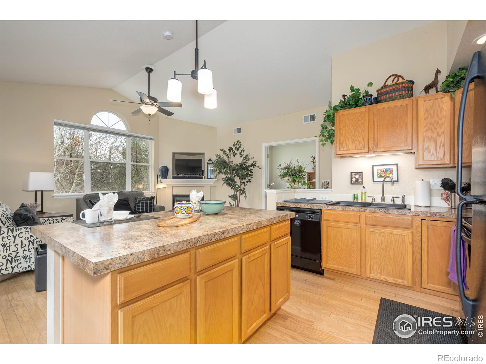 MLS Image #13 for 2019  grays peak drive,loveland, Colorado