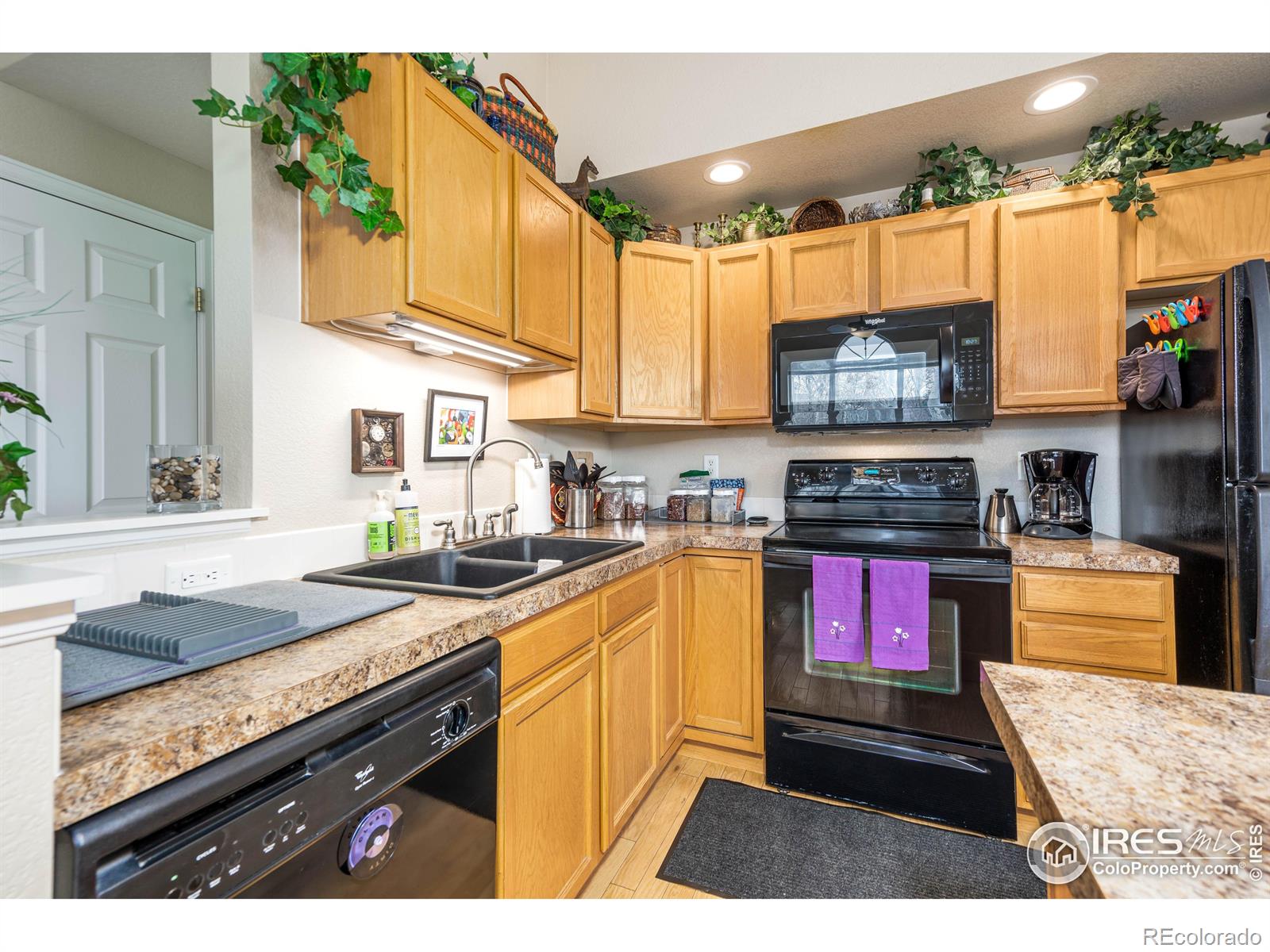 MLS Image #15 for 2019  grays peak drive,loveland, Colorado