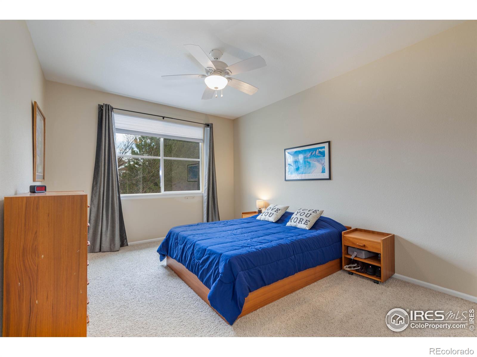 MLS Image #20 for 2019  grays peak drive,loveland, Colorado