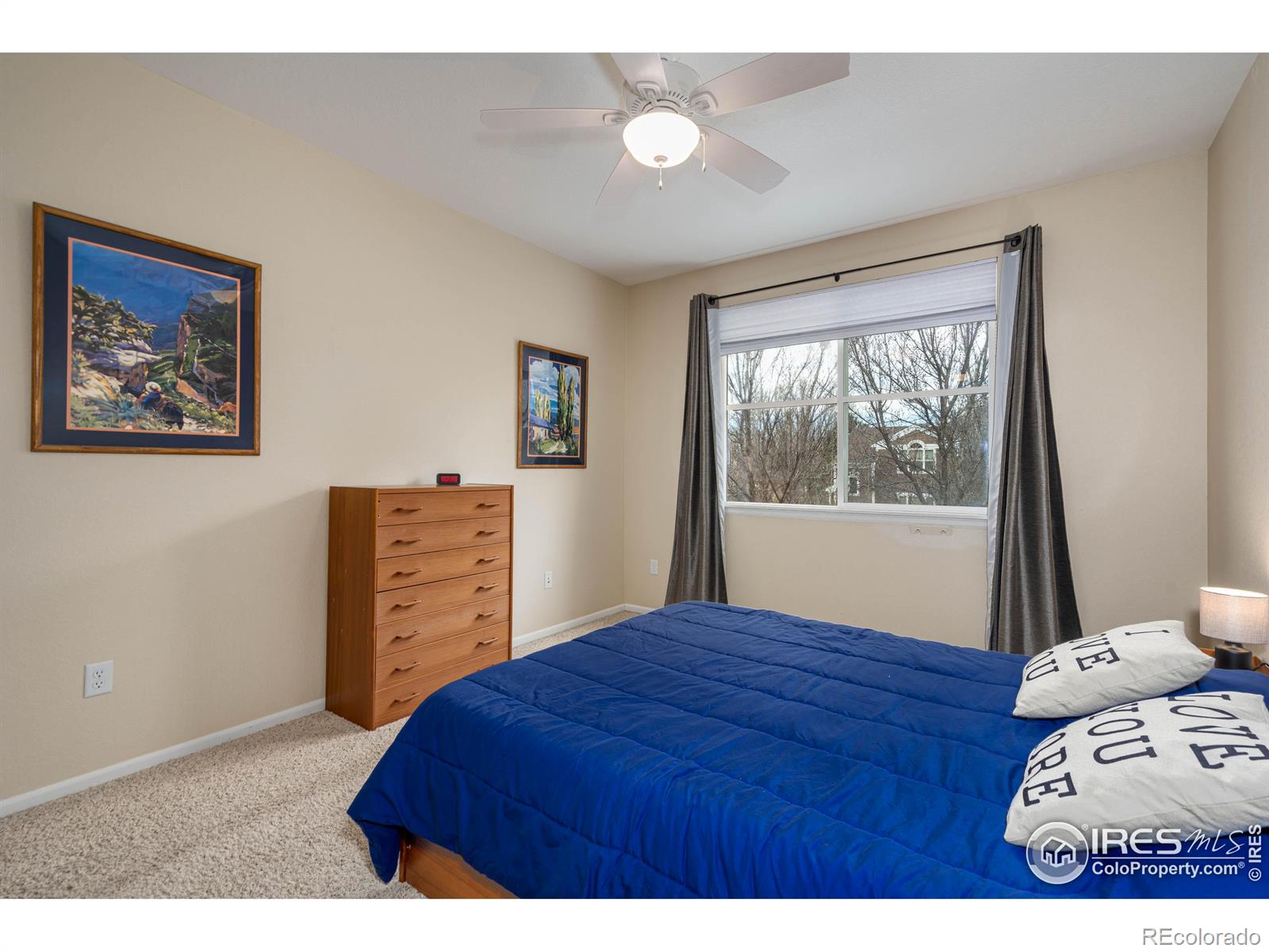 MLS Image #21 for 2019  grays peak drive,loveland, Colorado