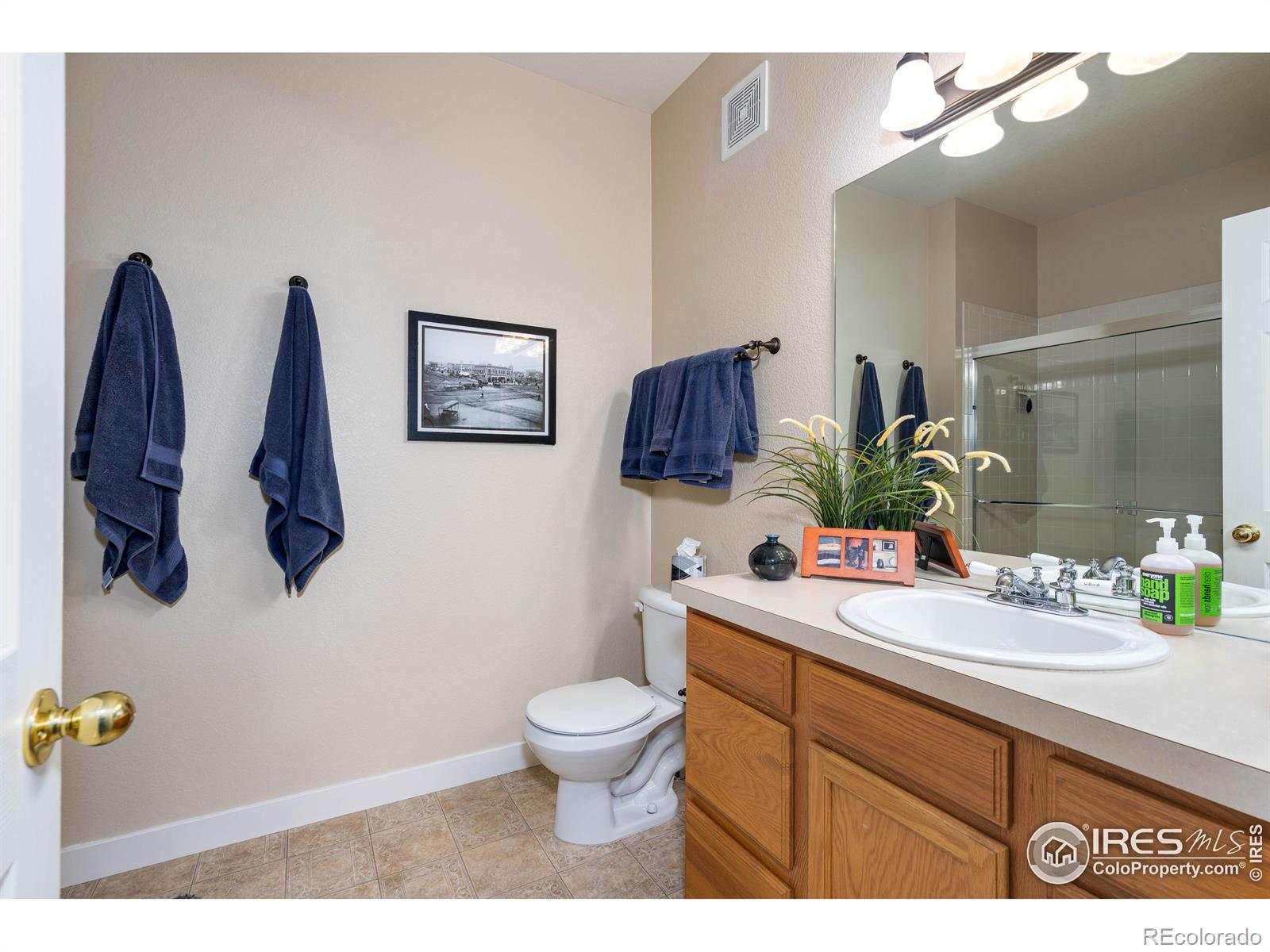 MLS Image #23 for 2019  grays peak drive,loveland, Colorado